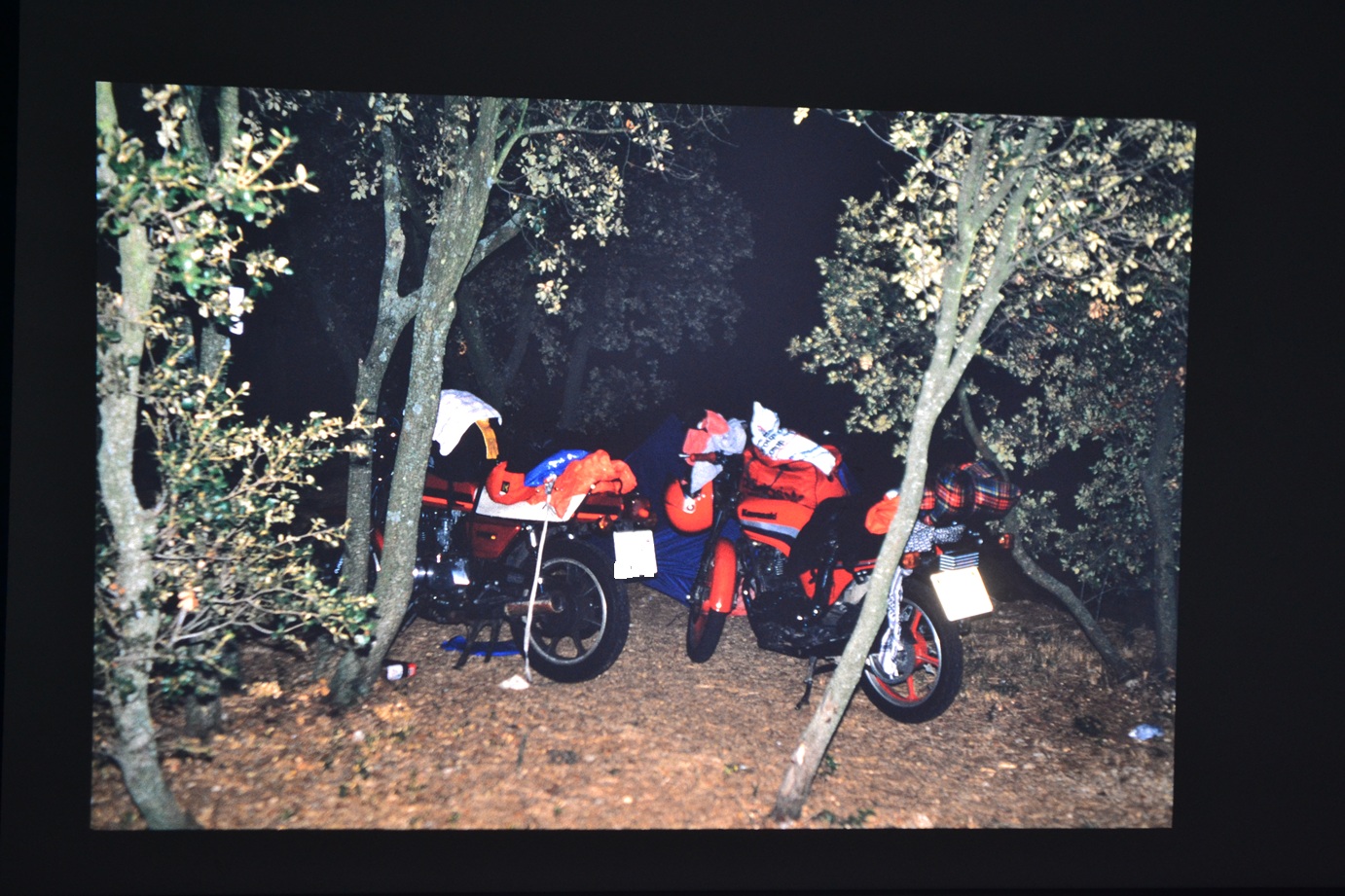 DSC_0373.JPG