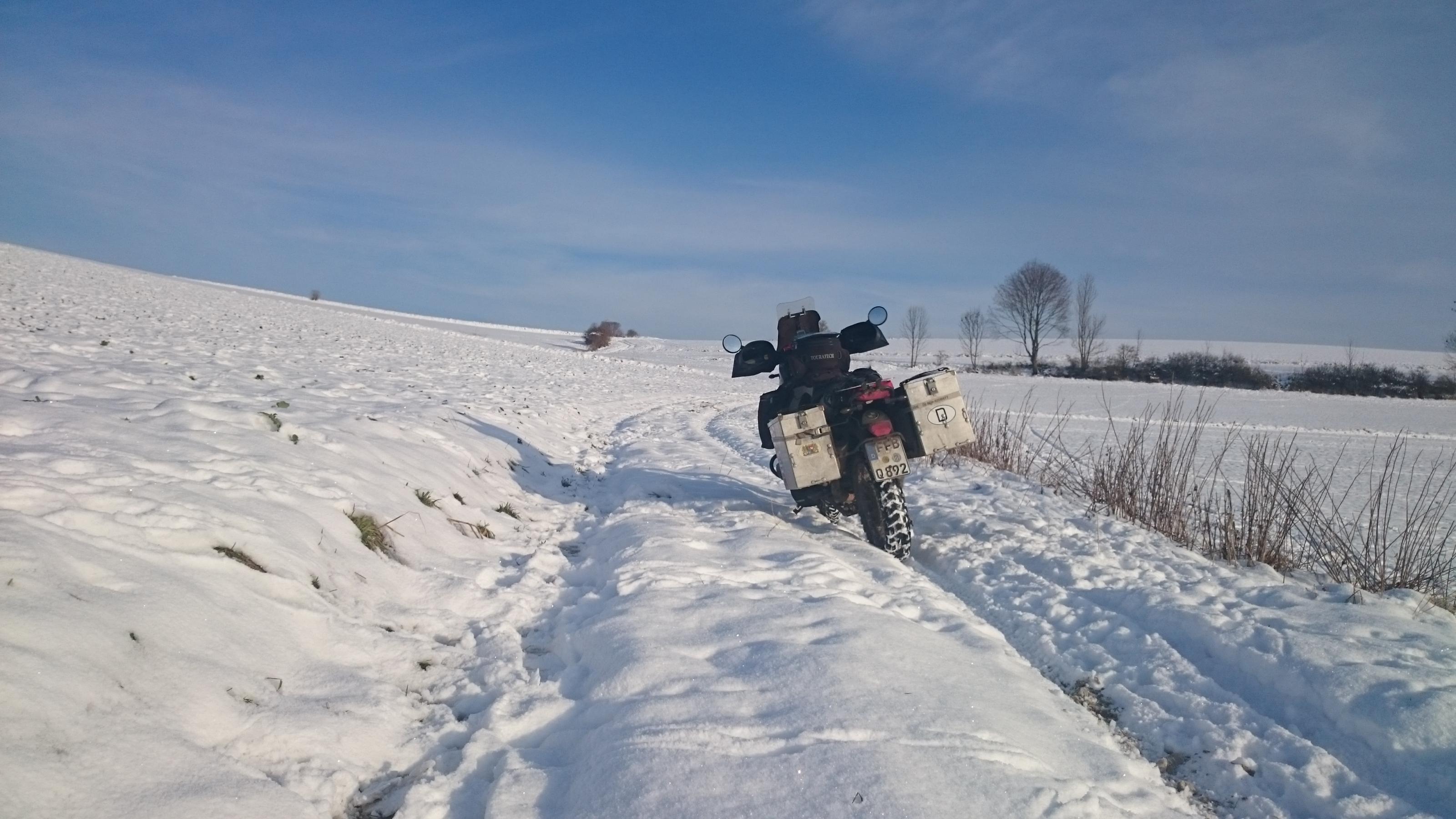 DSC_0514.jpg