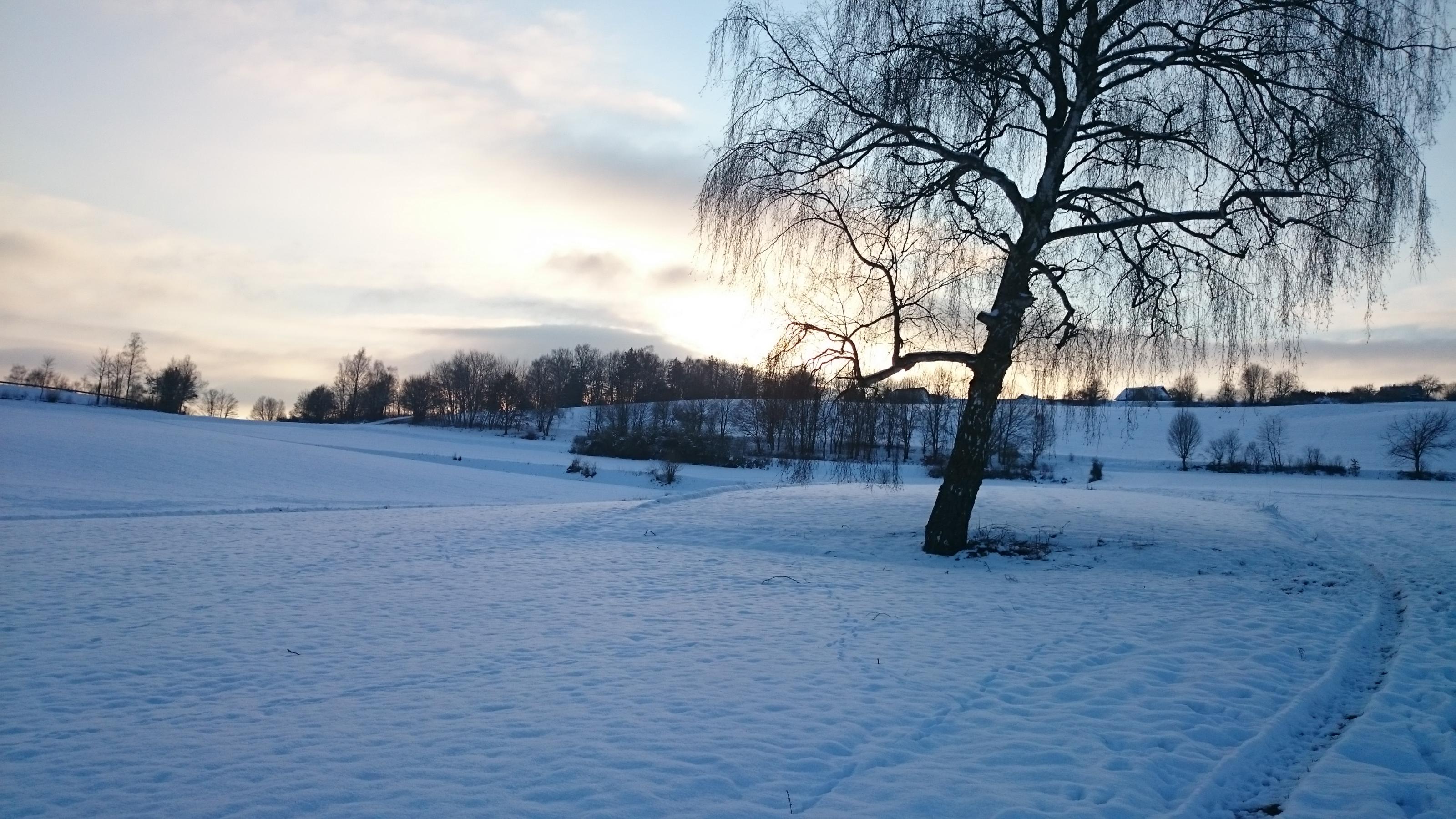 DSC_0519.jpg