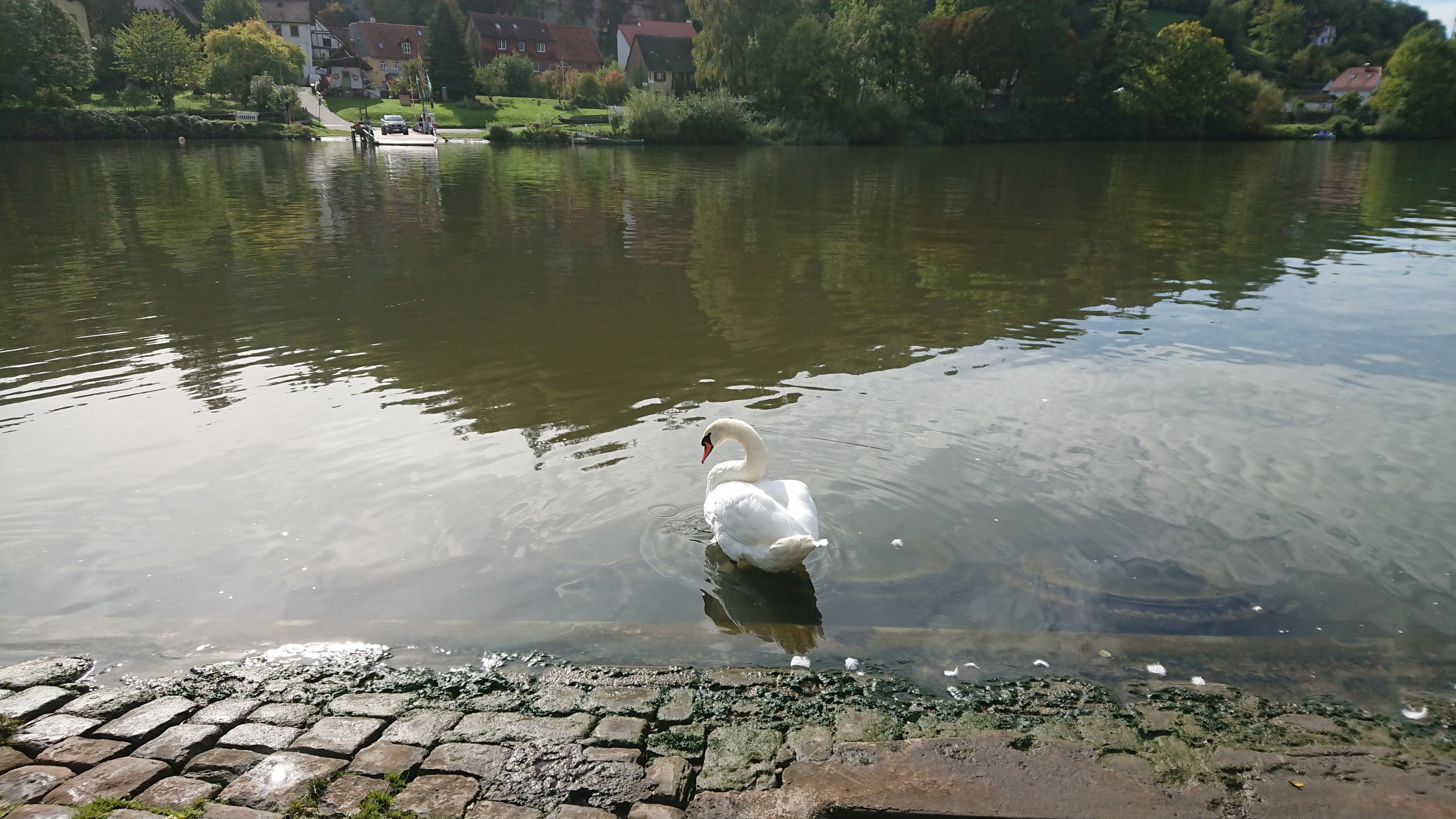 DSC_1049.JPG