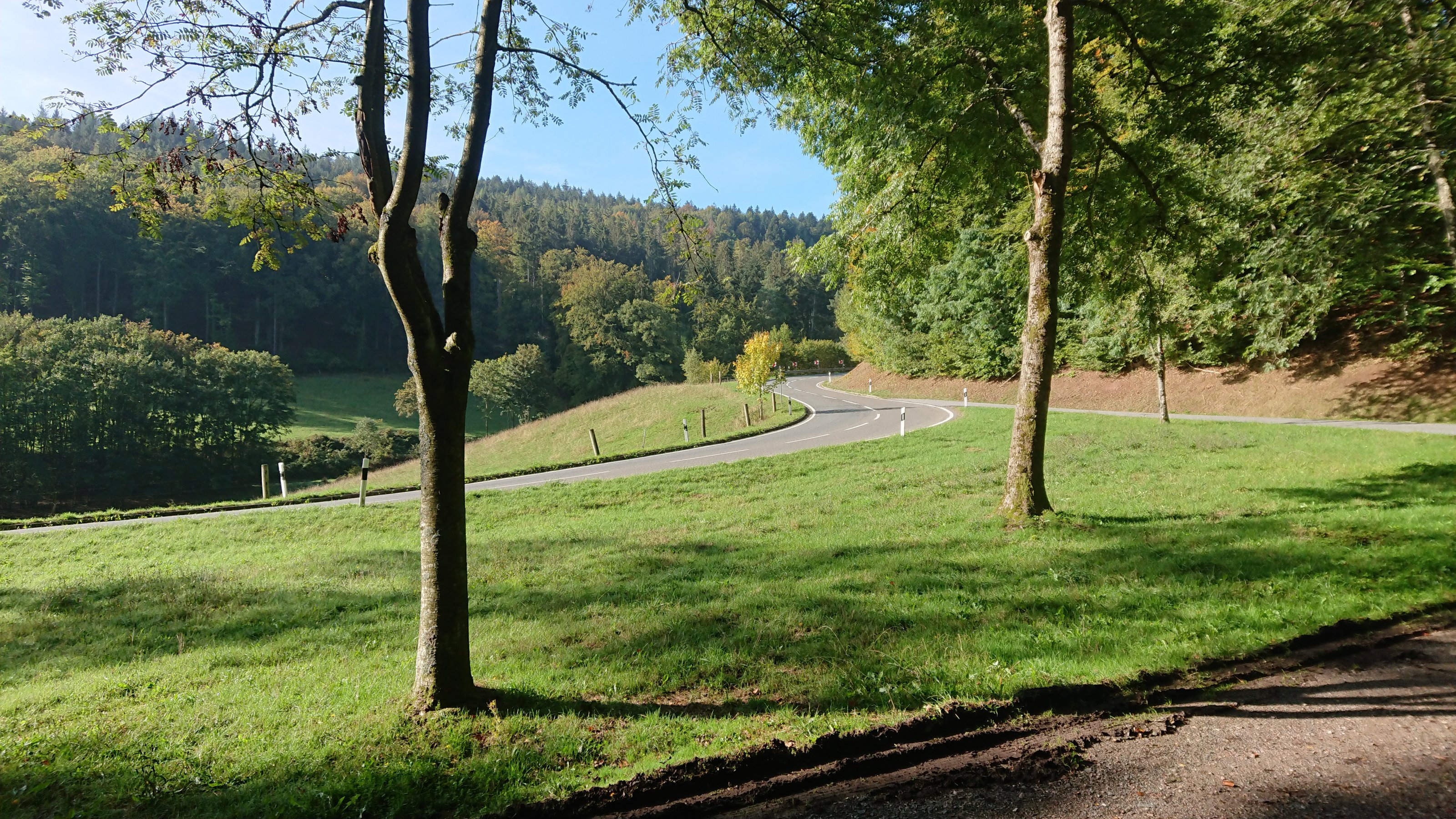 DSC_1054.JPG