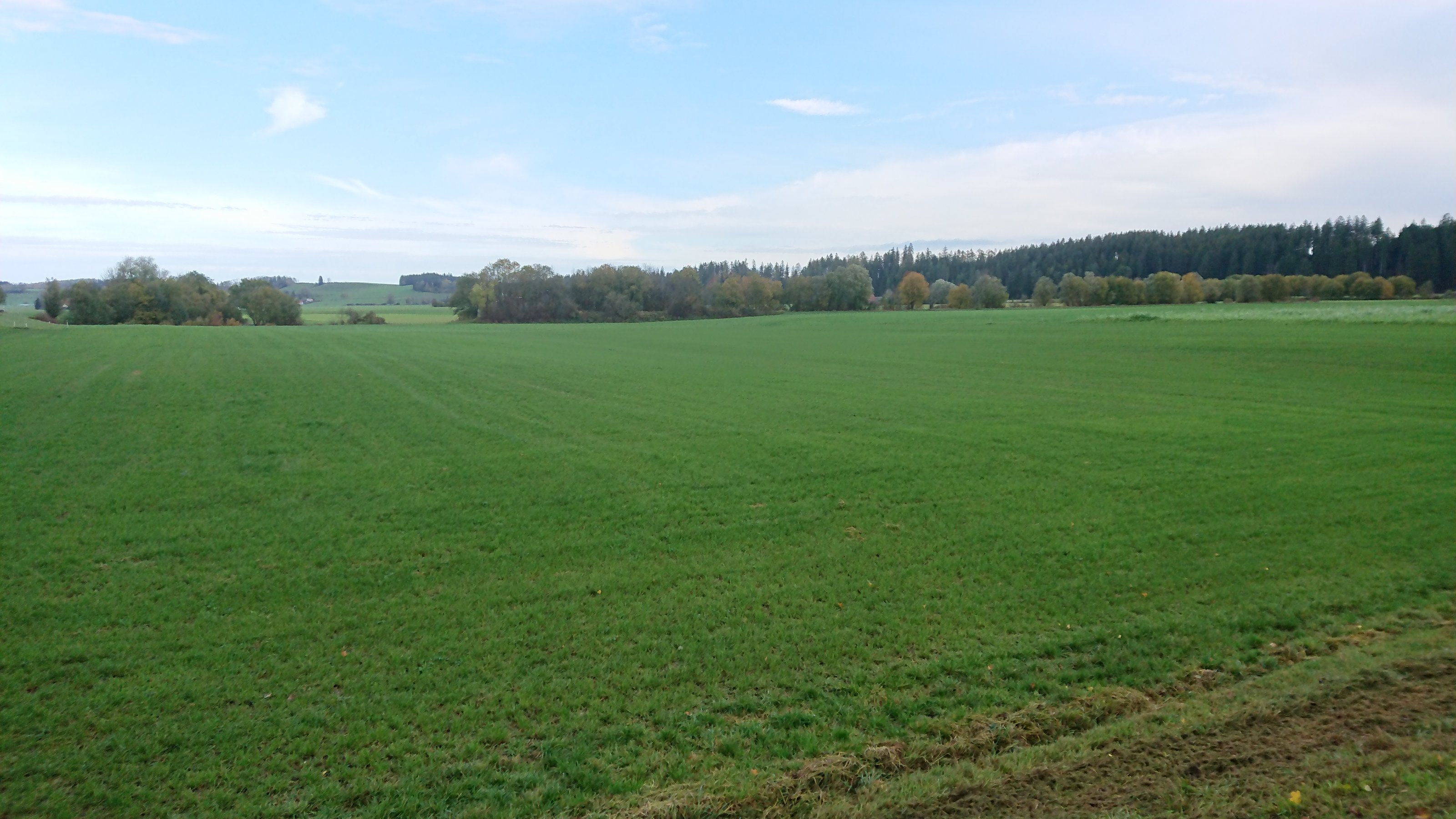 DSC_1094.JPG