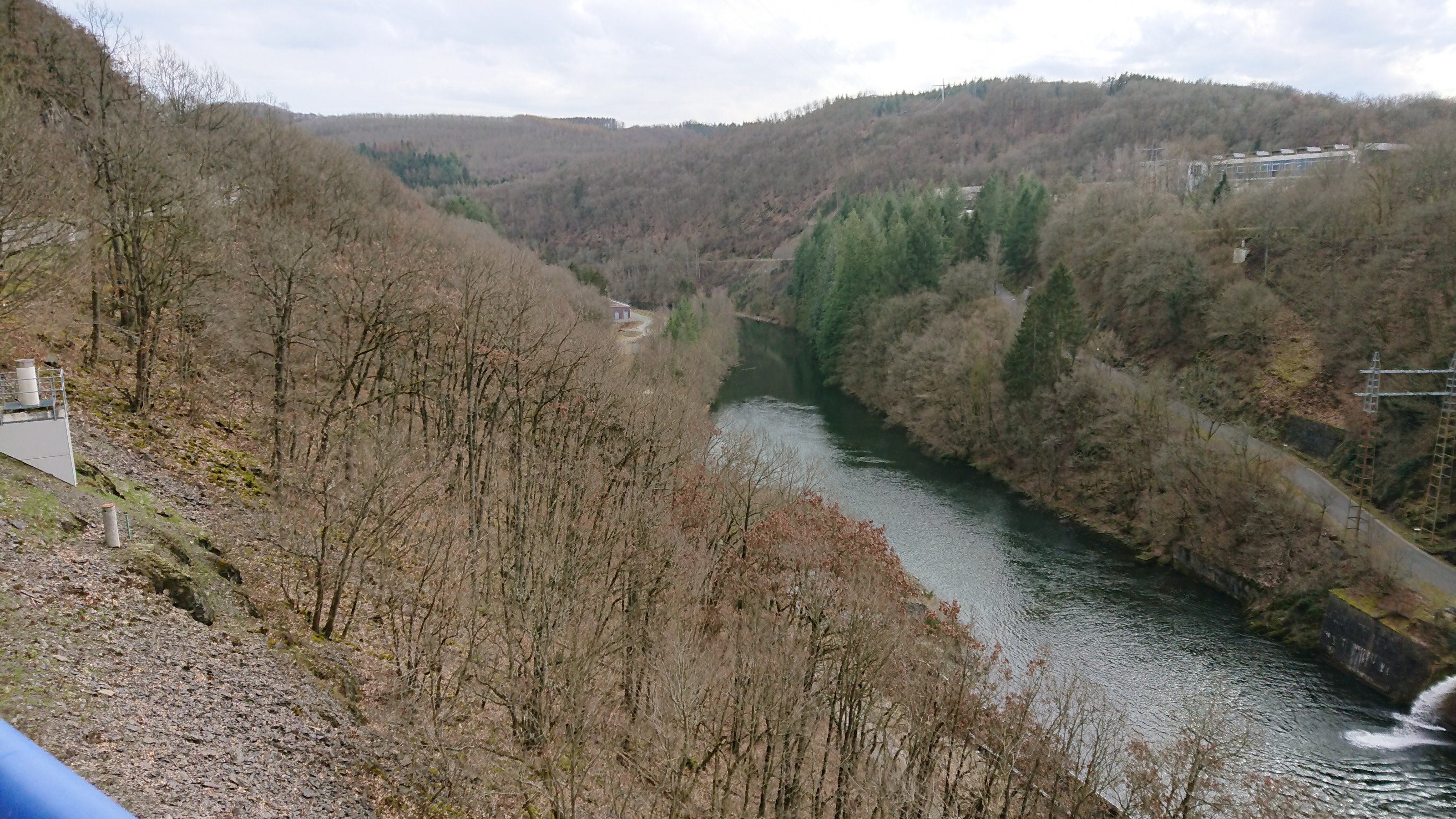 DSC_1239.JPG