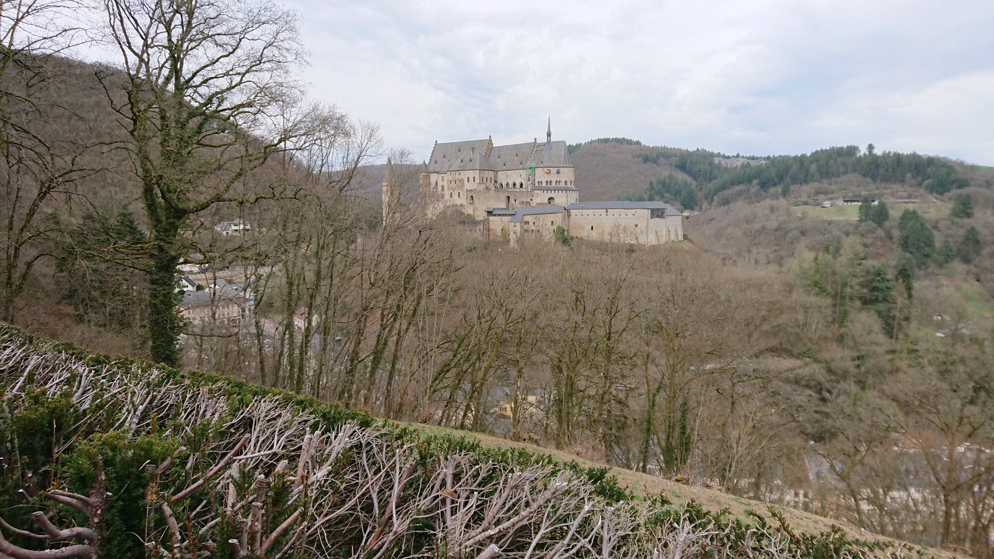 DSC_1240.JPG