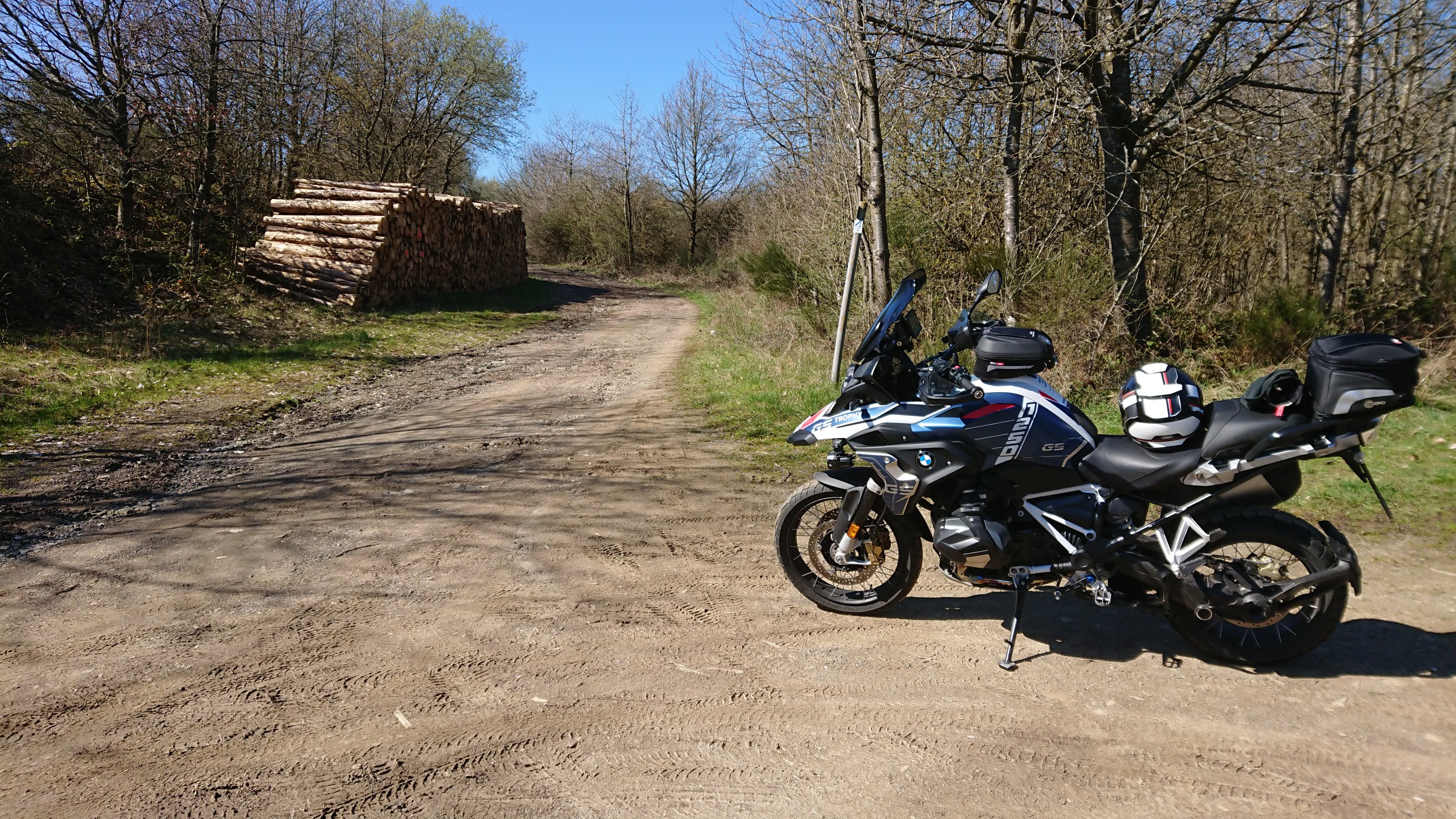 DSC_1262.JPG