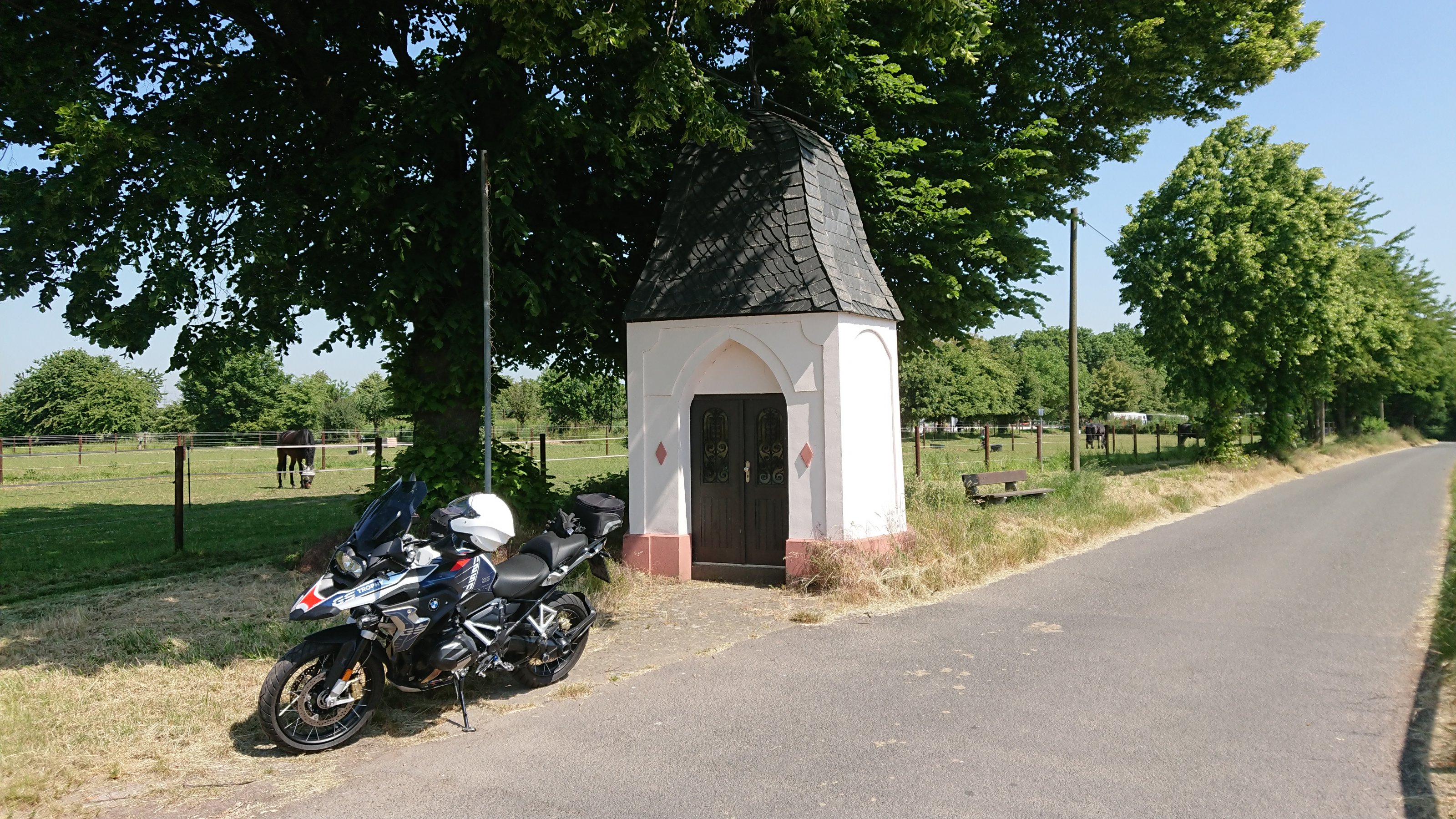 DSC_1326.JPG