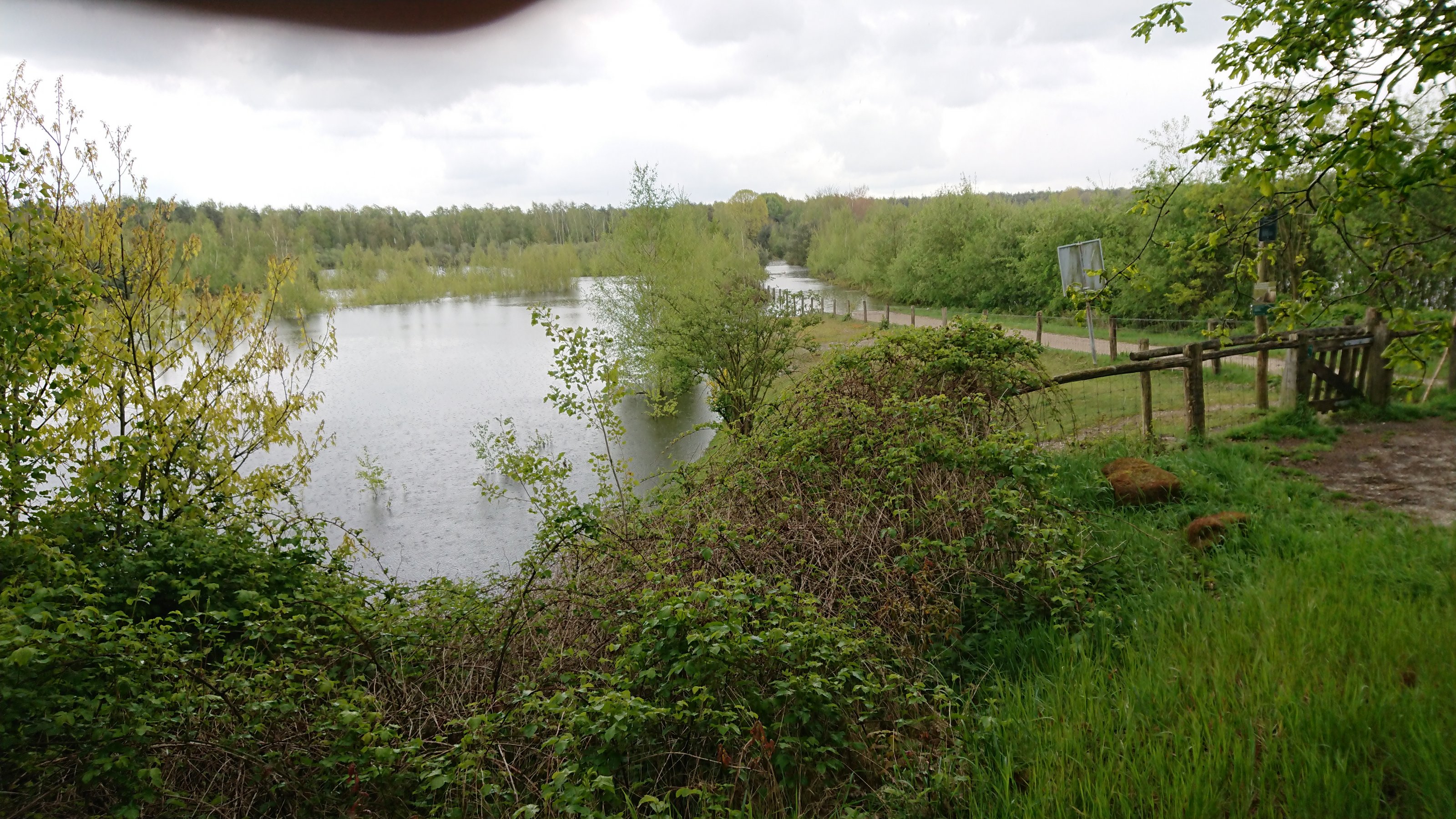 DSC_1532.JPG