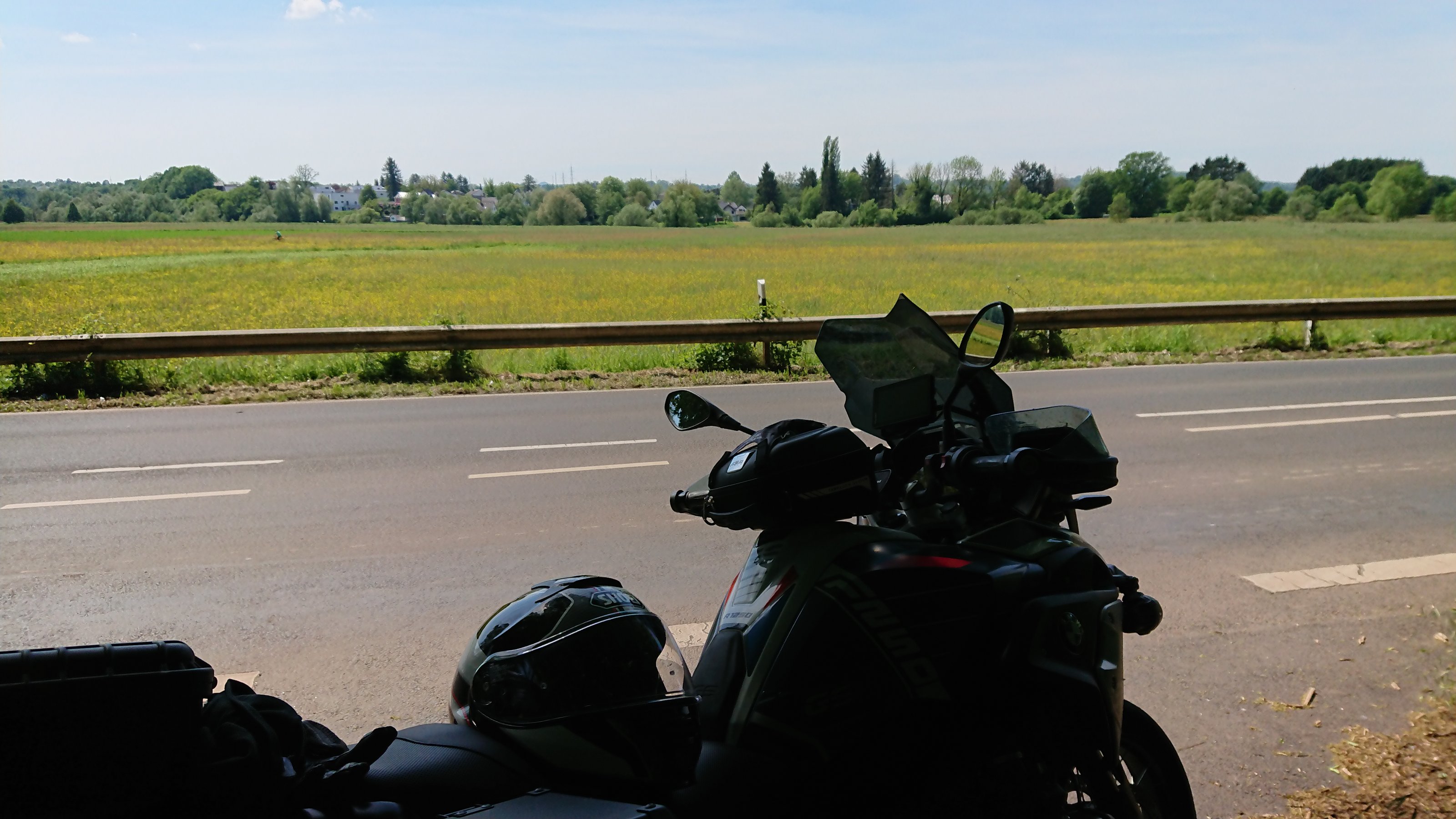 DSC_1556.JPG