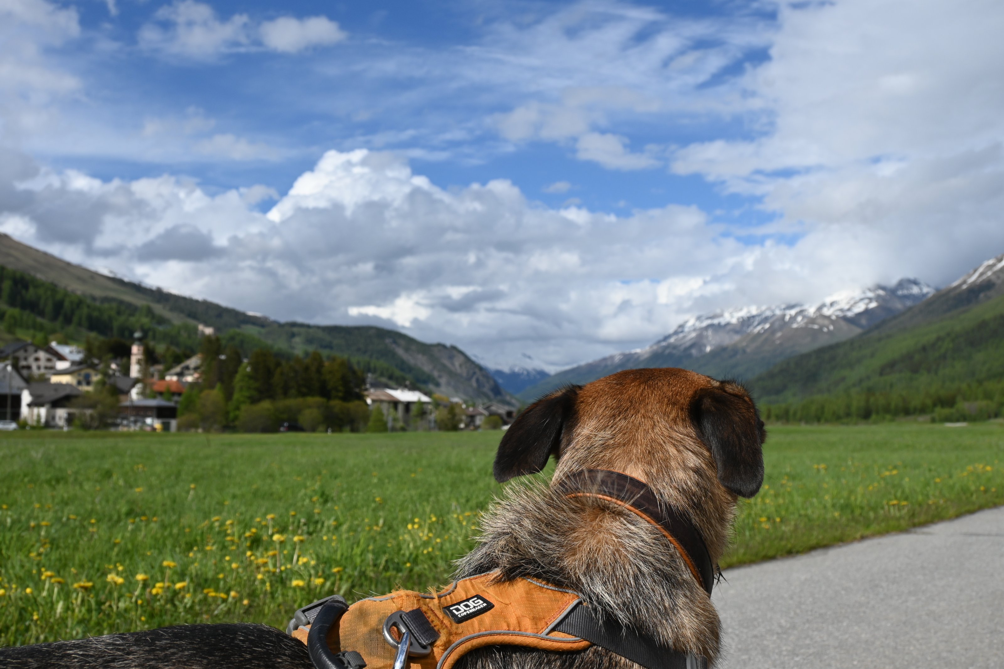 DSC_1574.JPG
