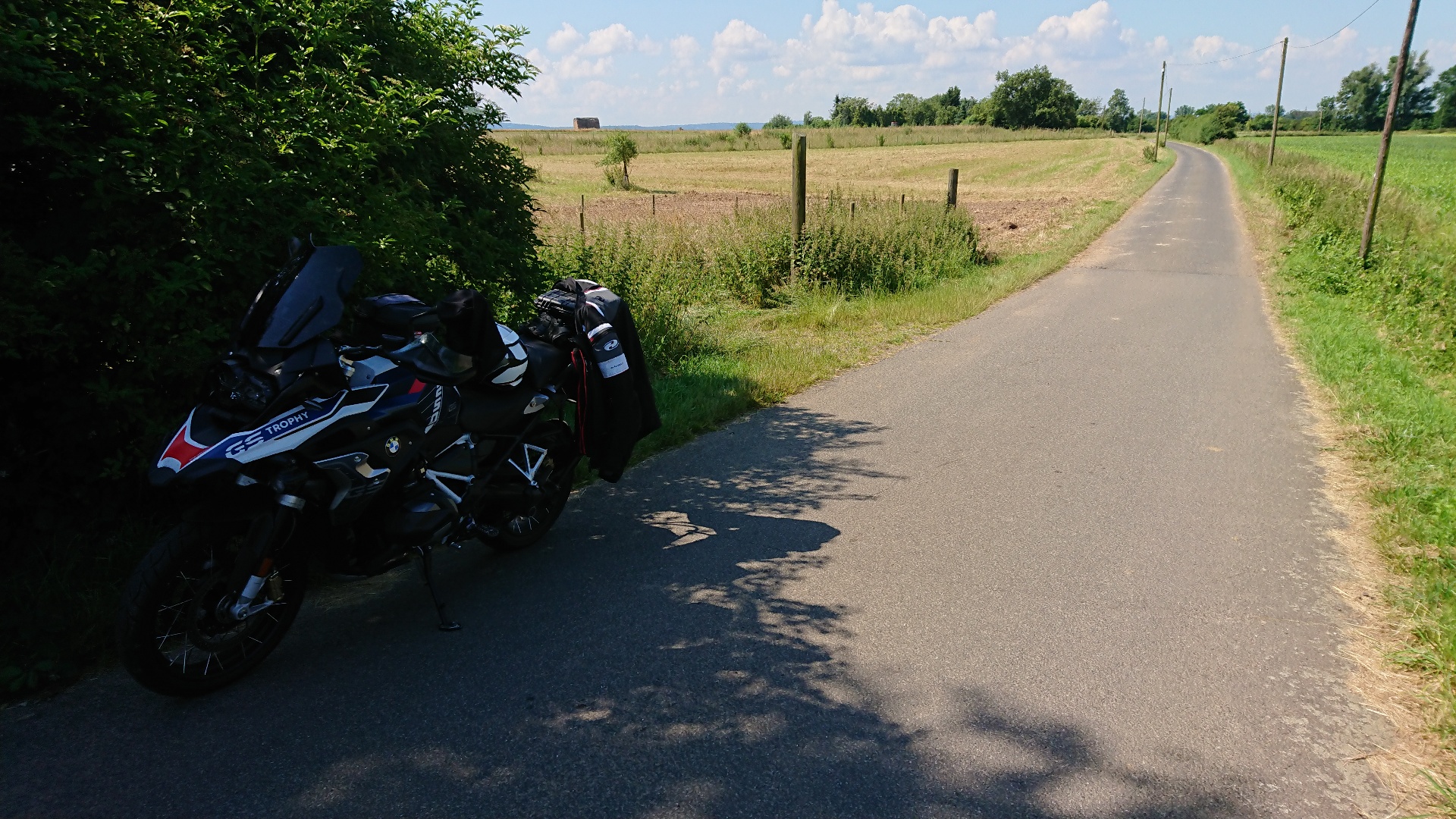 DSC_1590.JPG