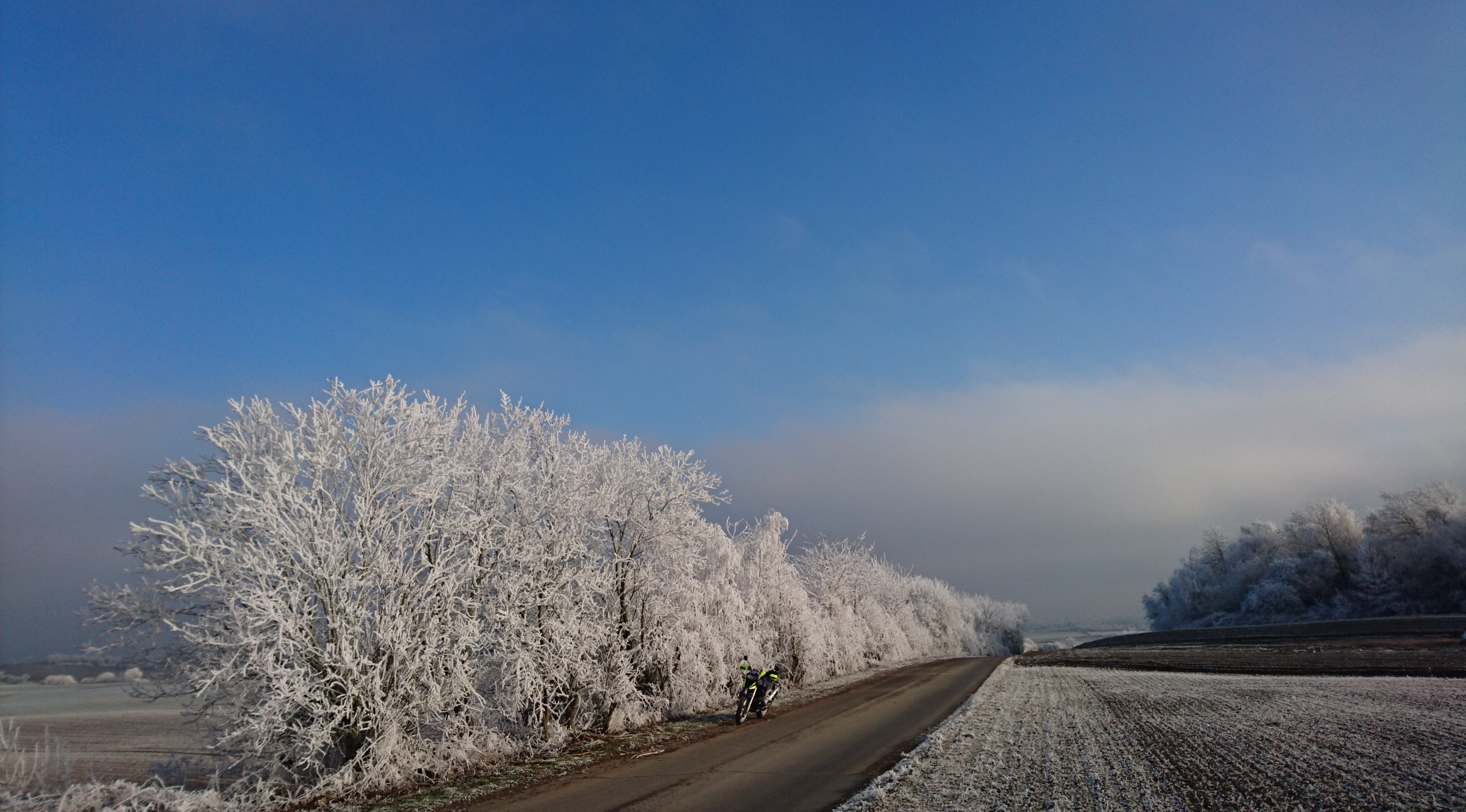 DSC_1606.JPG