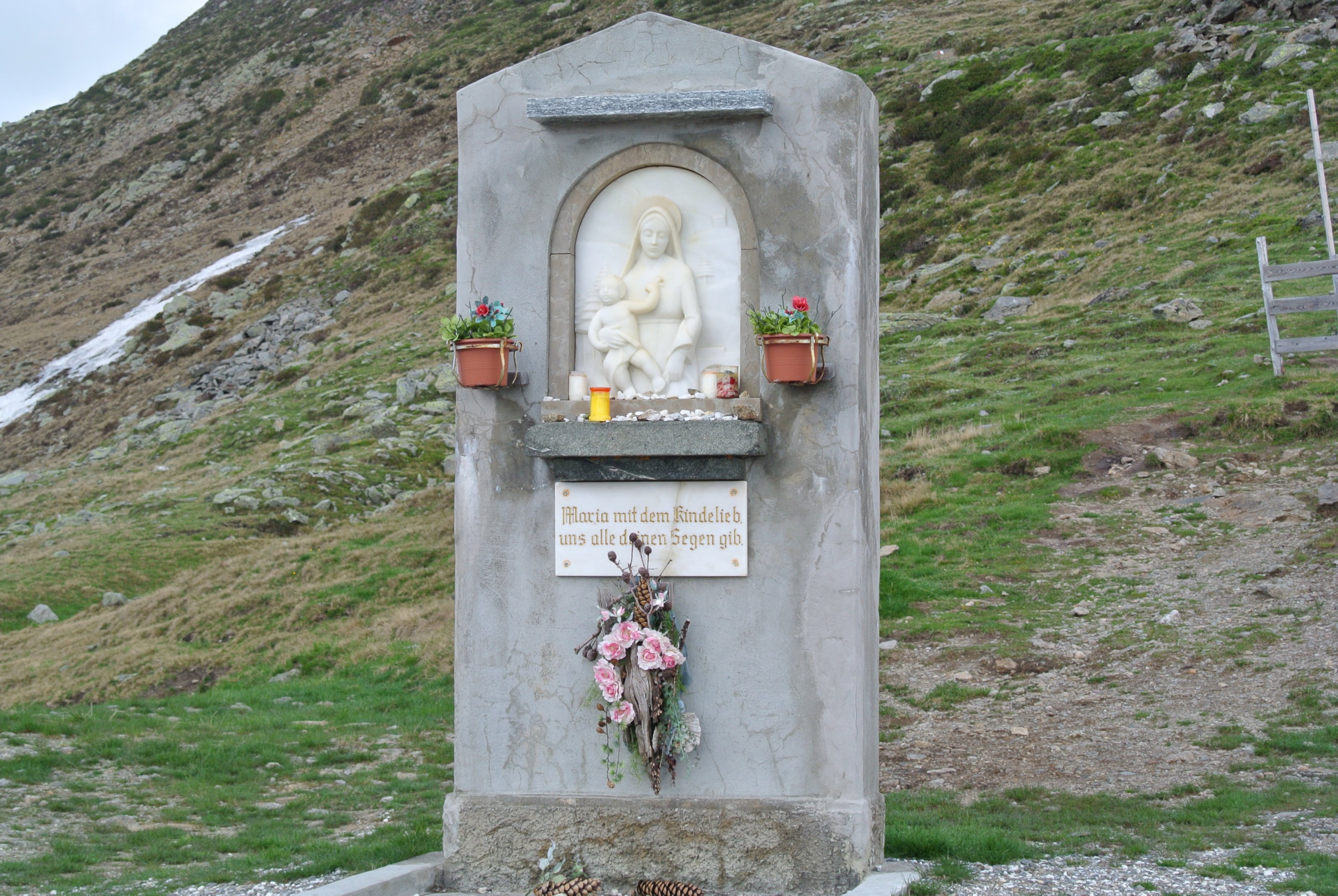 DSC_1651.JPG