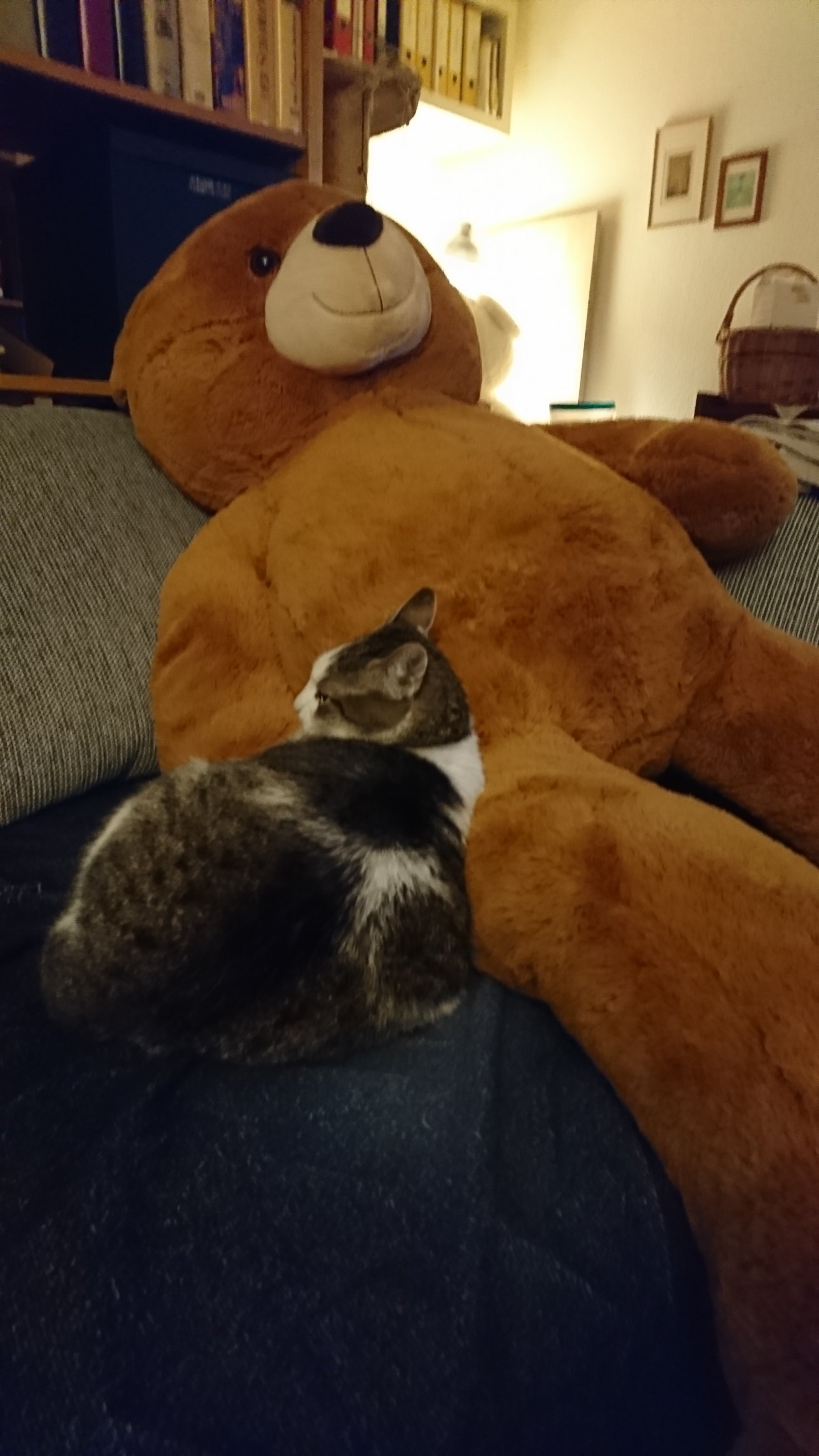 DSC_1716.jpeg