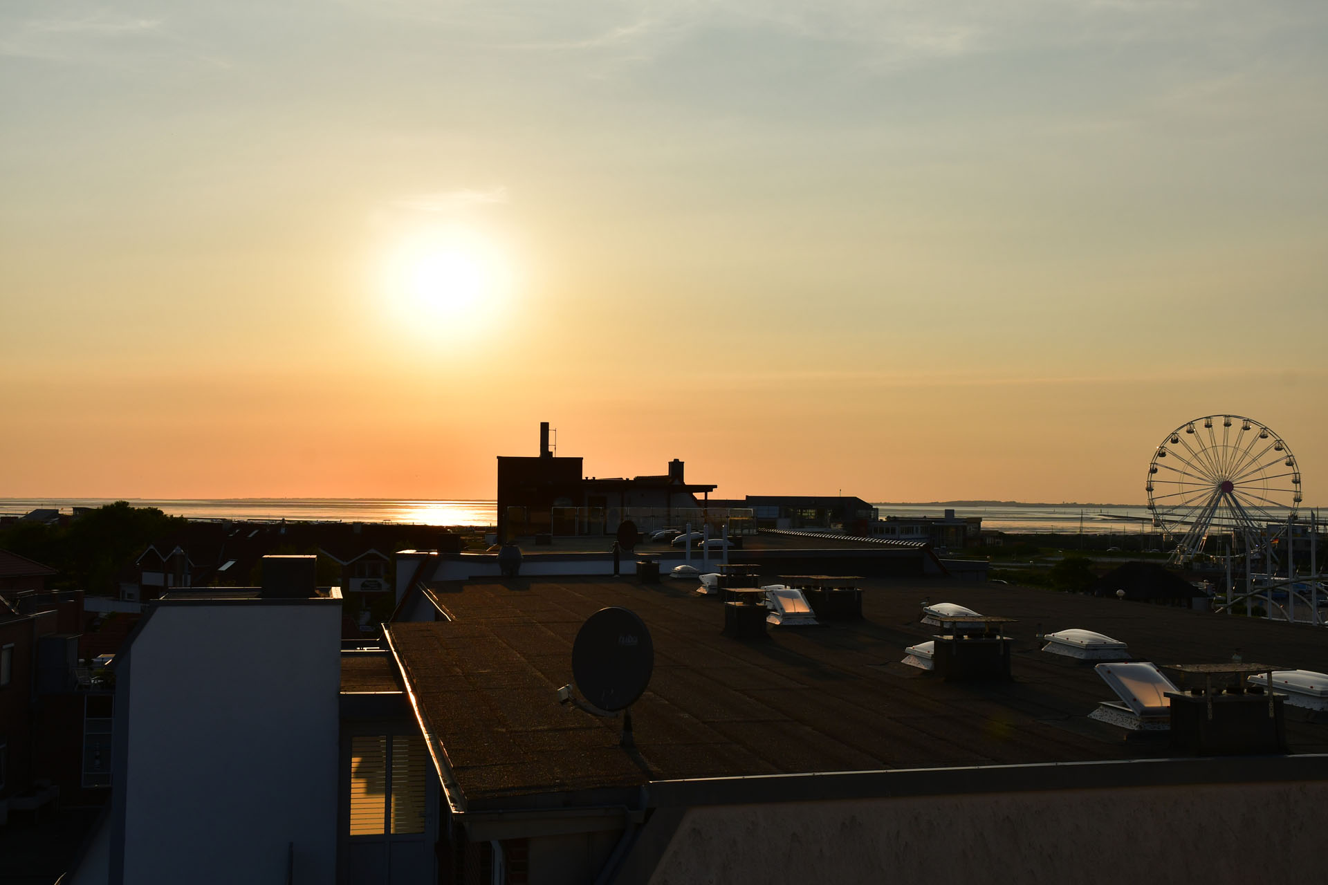 DSC_3549.JPG