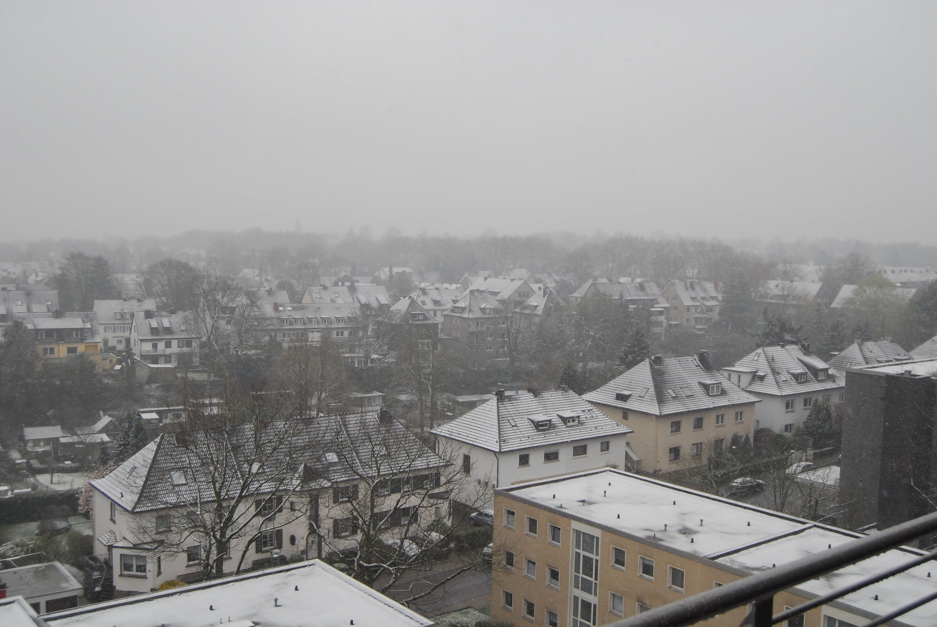 DSC_5200.JPG