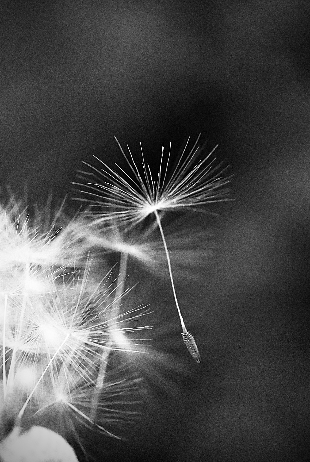 DSC_5469.jpg