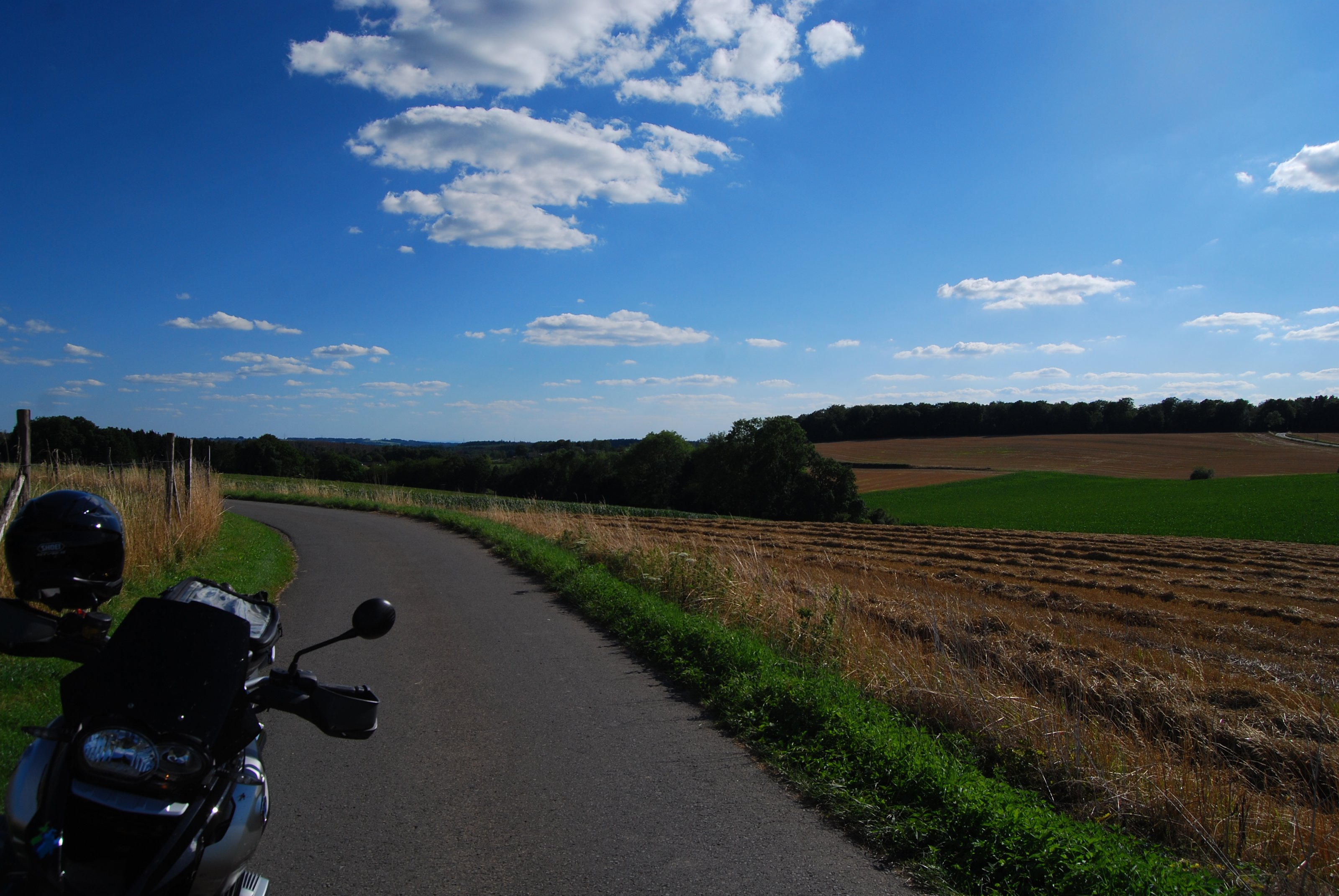 DSC_5502.JPG