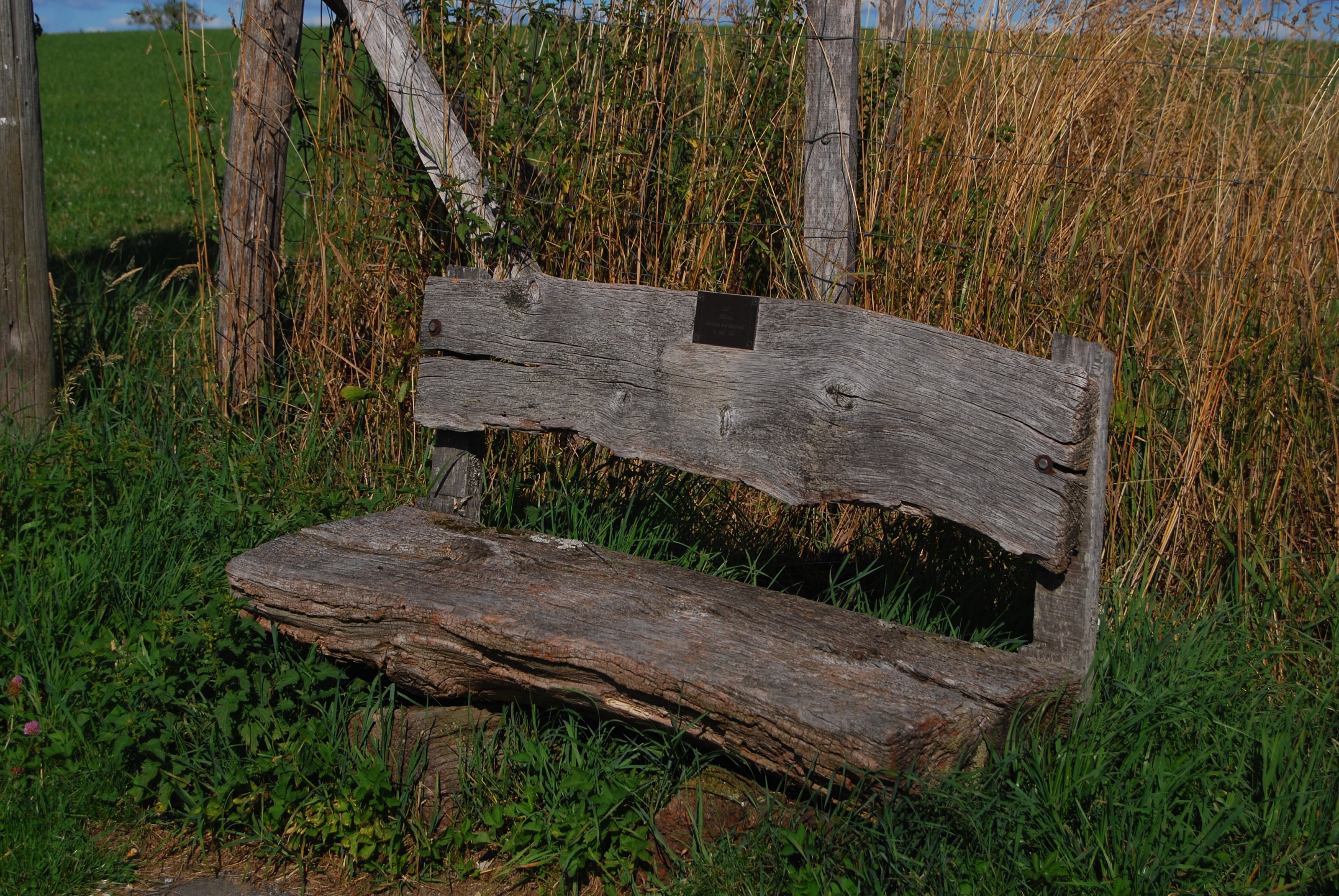 DSC_5504.JPG