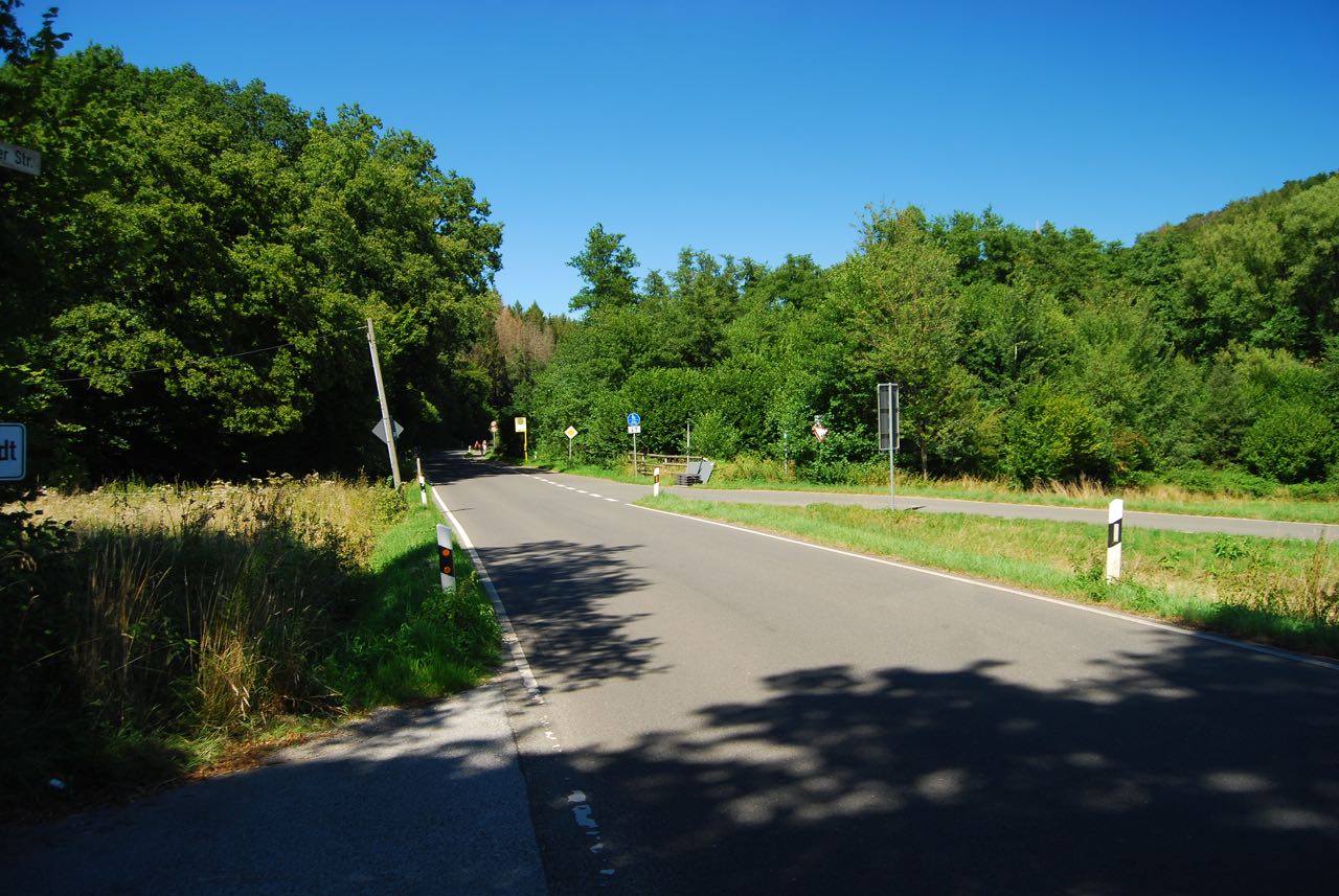 DSC_5537.jpg
