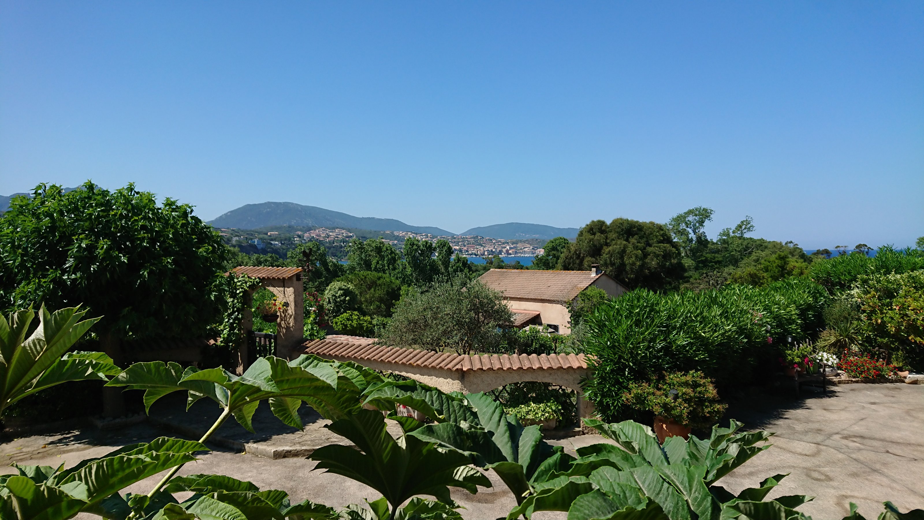 DSC_8826.JPG