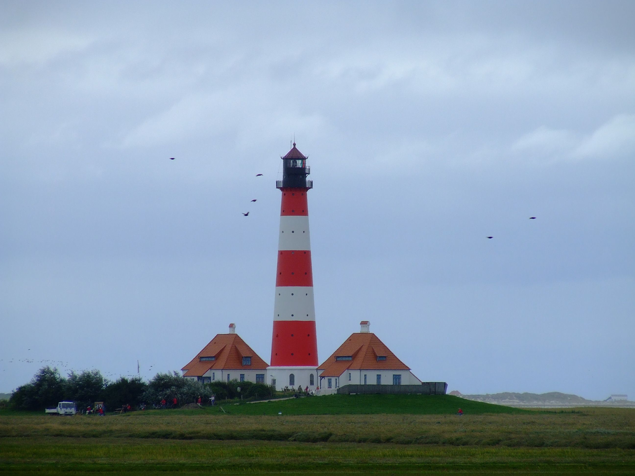 DSCF0003.JPG