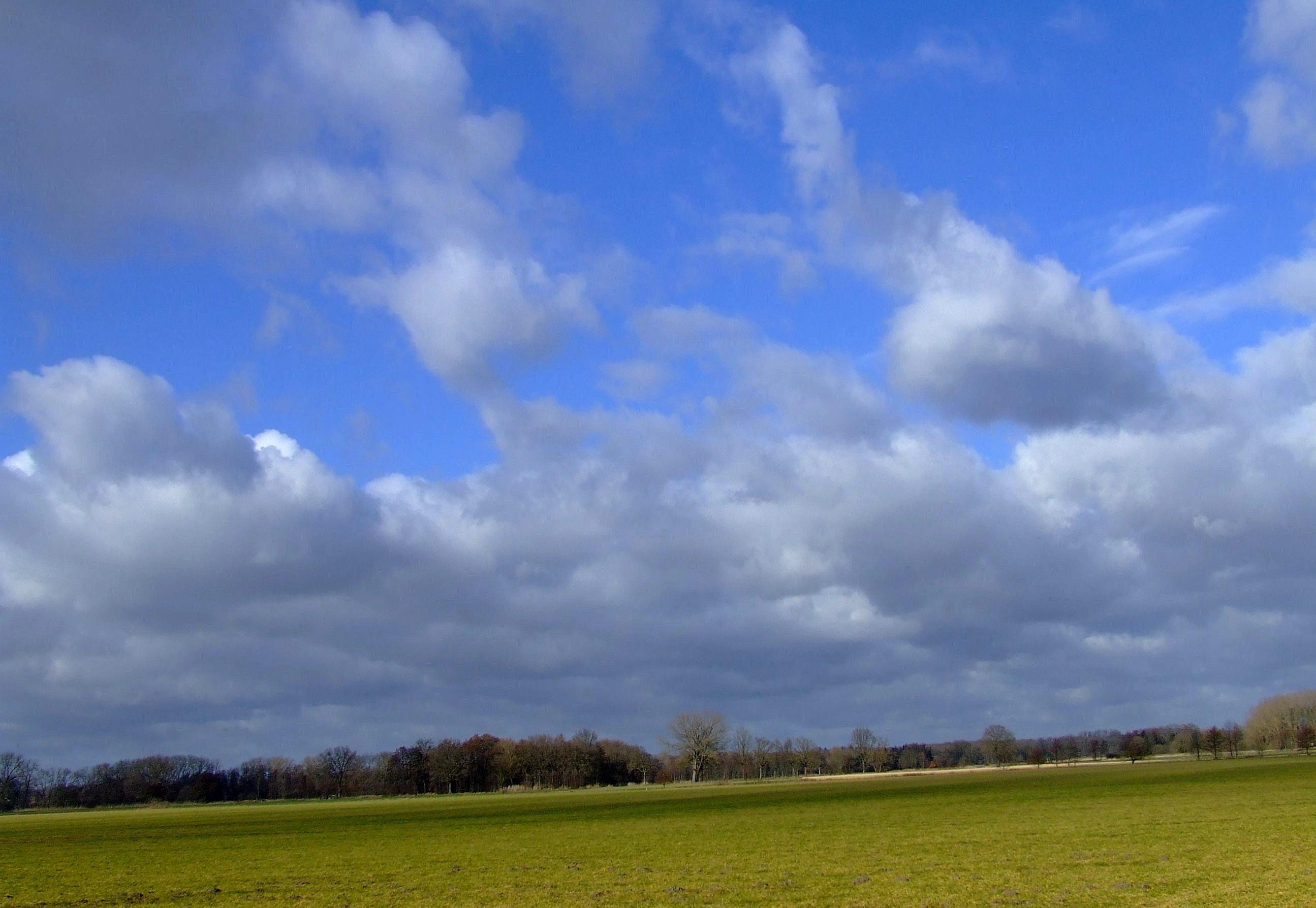 DSCF0005.JPG