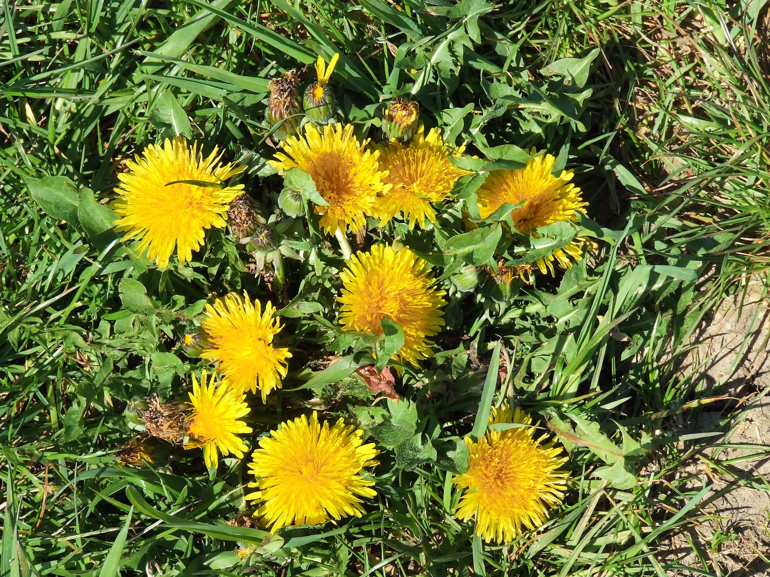 DSCF0105.JPG