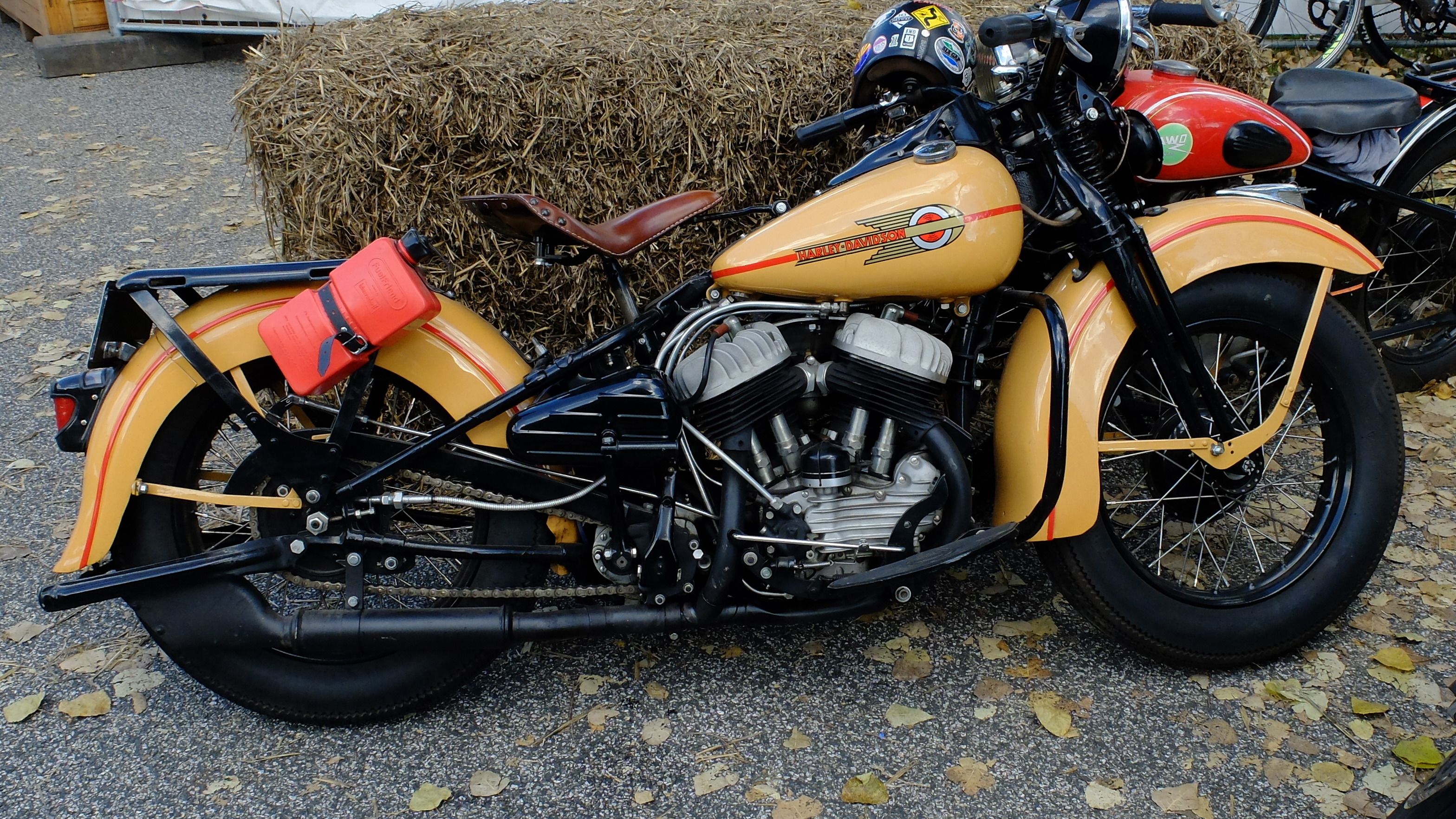 DSCF1277.JPG