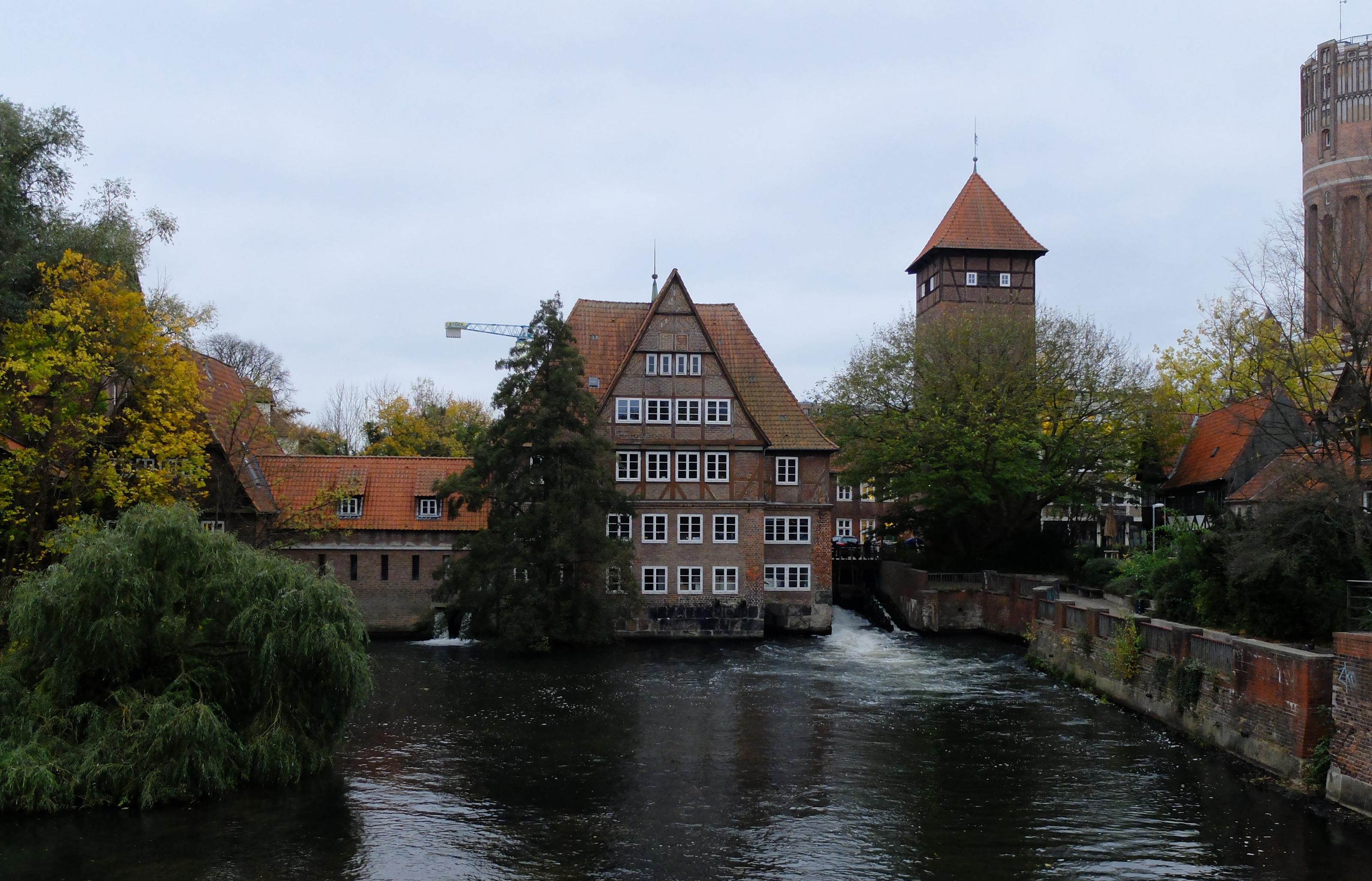DSCF1550.jpg