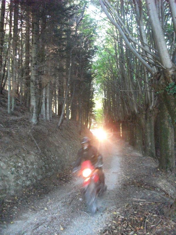 DSCF3913.jpg