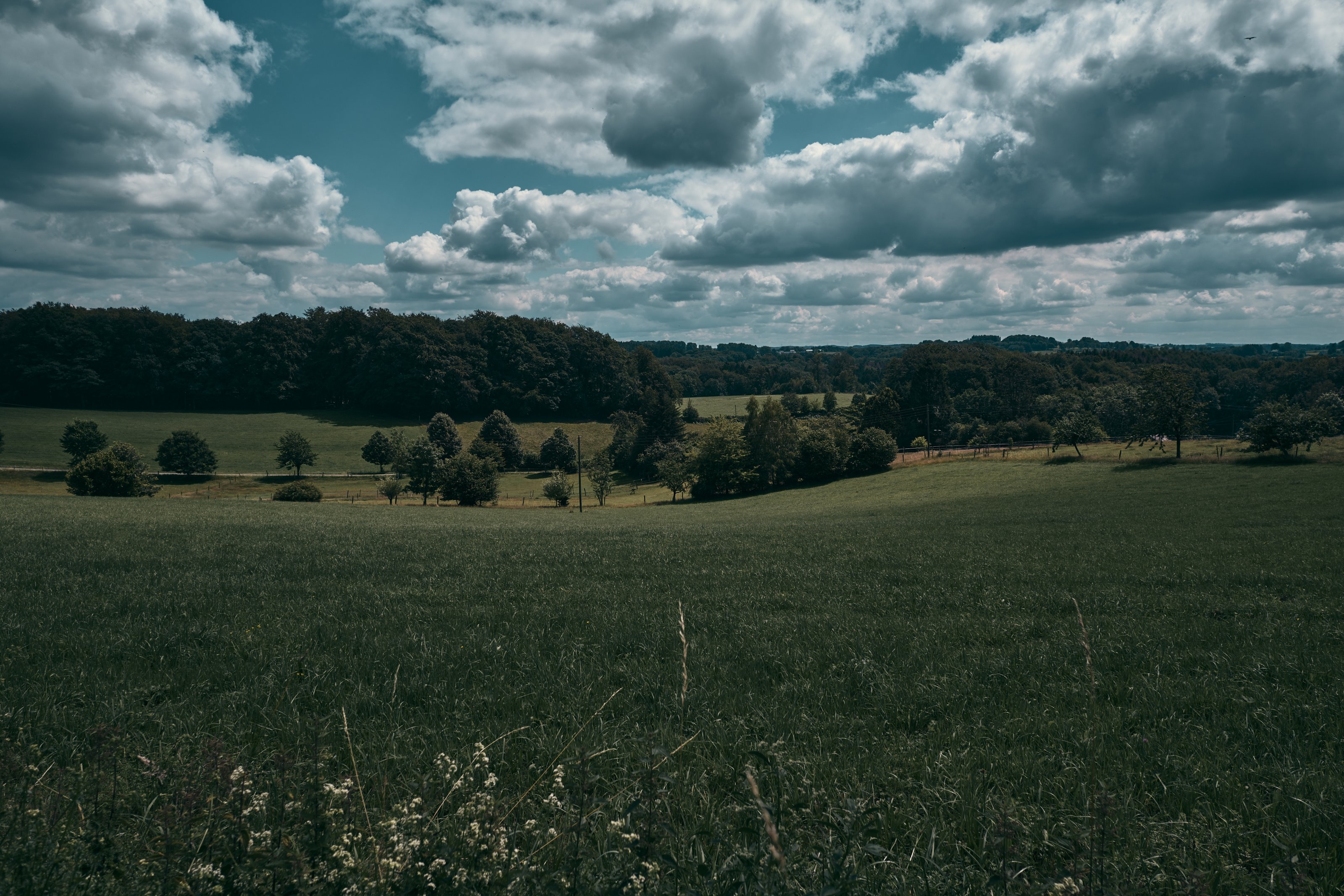 DSCF5833.jpg