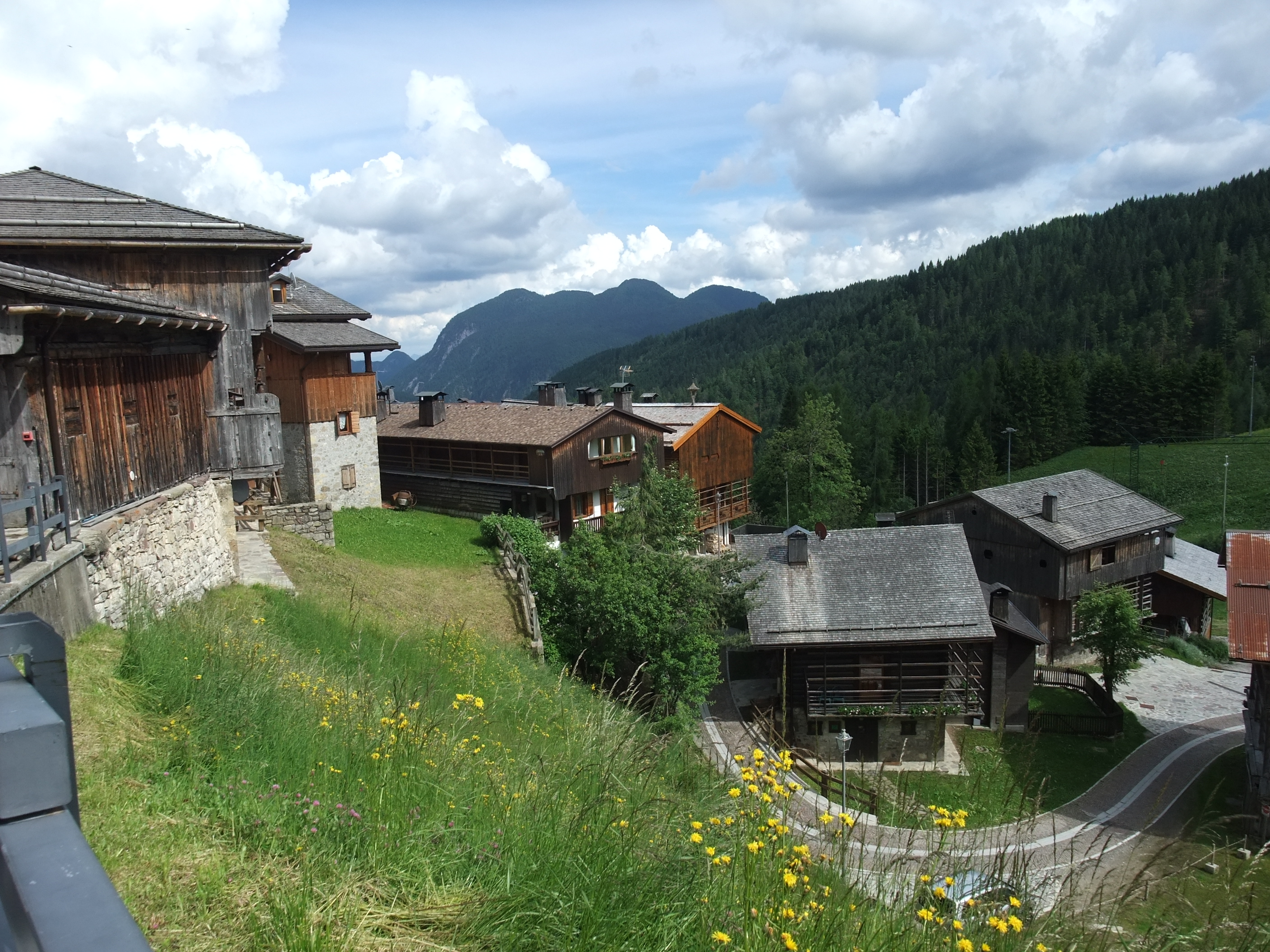 DSCF6561.jpg