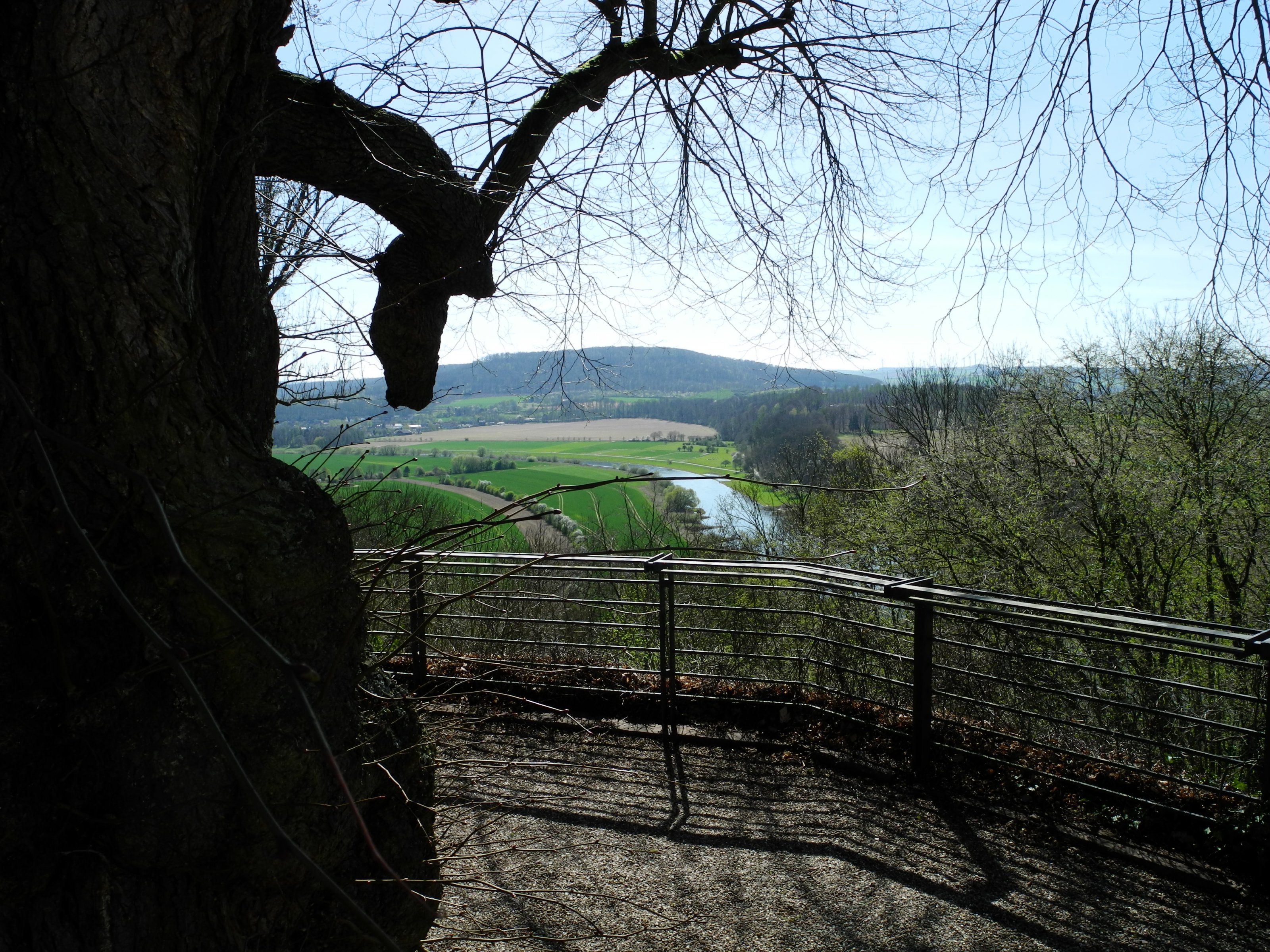 DSCN0153.JPG