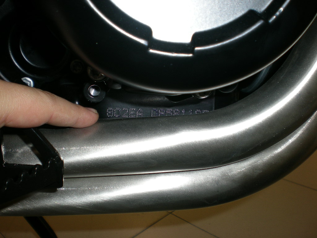 DSCN1462.jpg