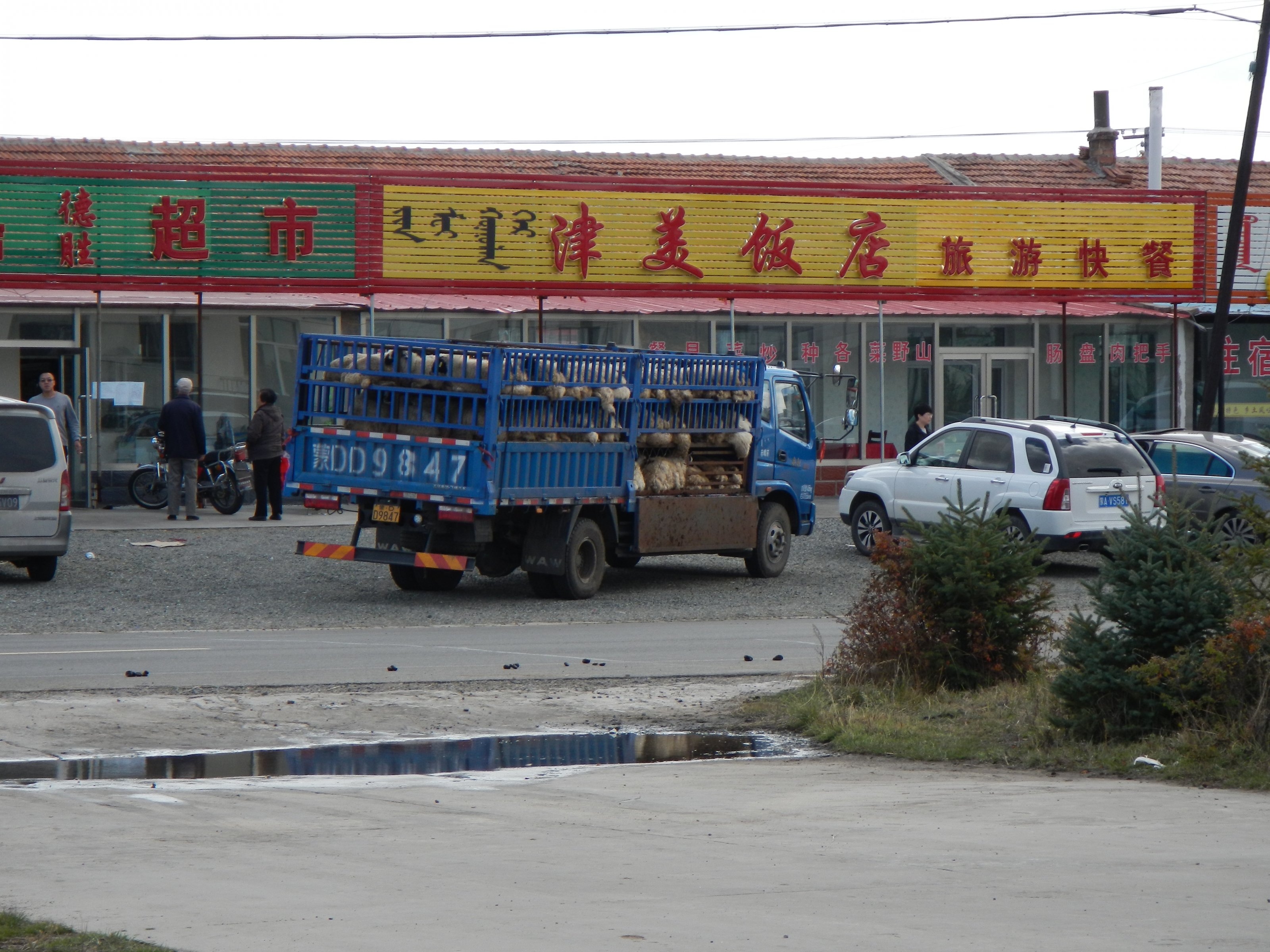 DSCN2954.JPG