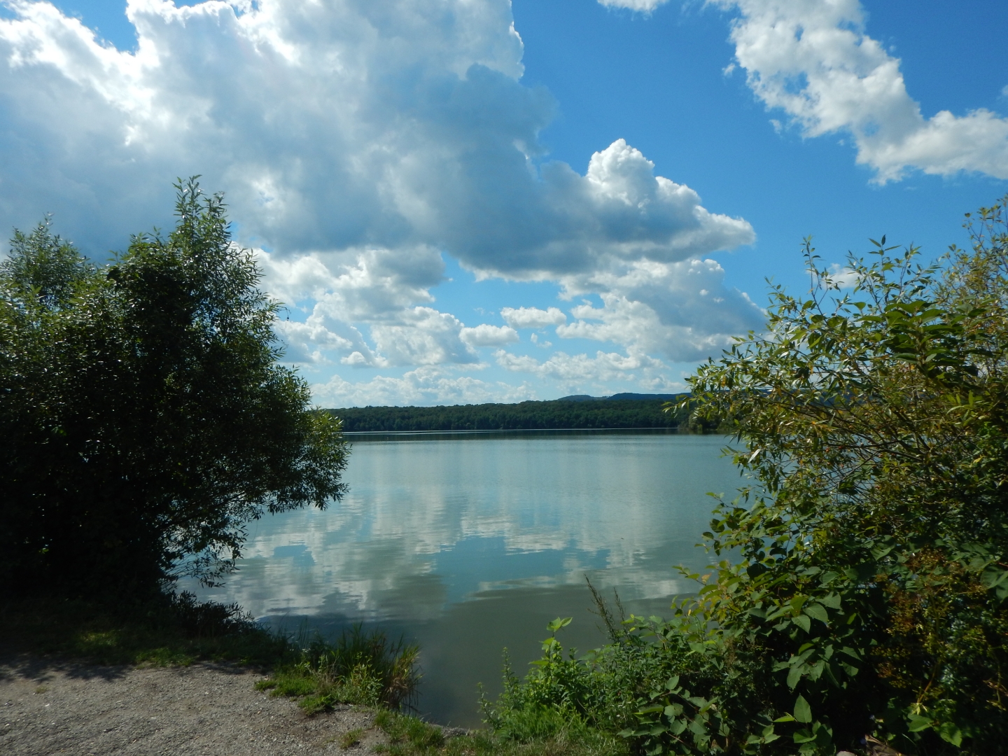 DSCN3350.JPG