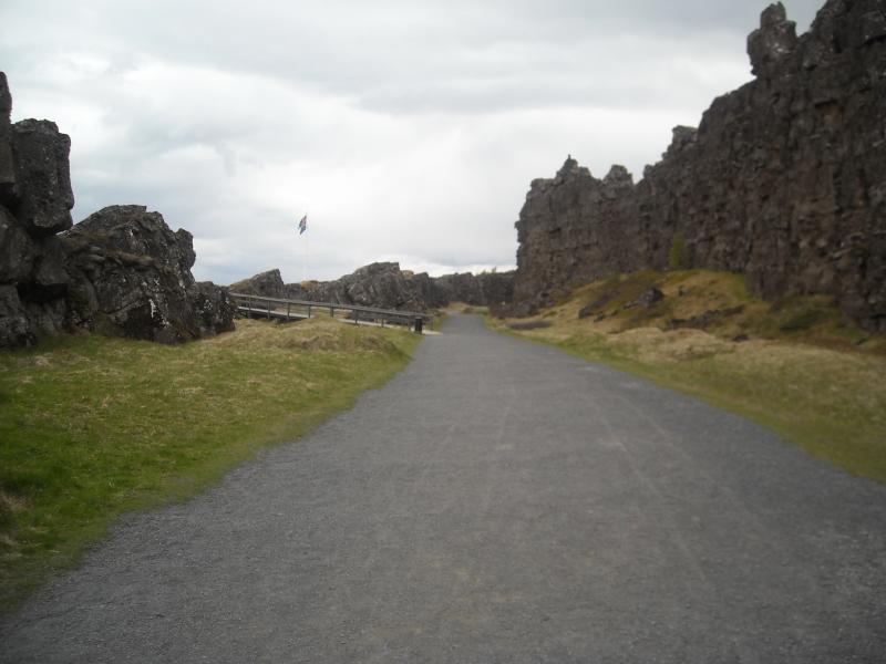 DSCN4307.jpg