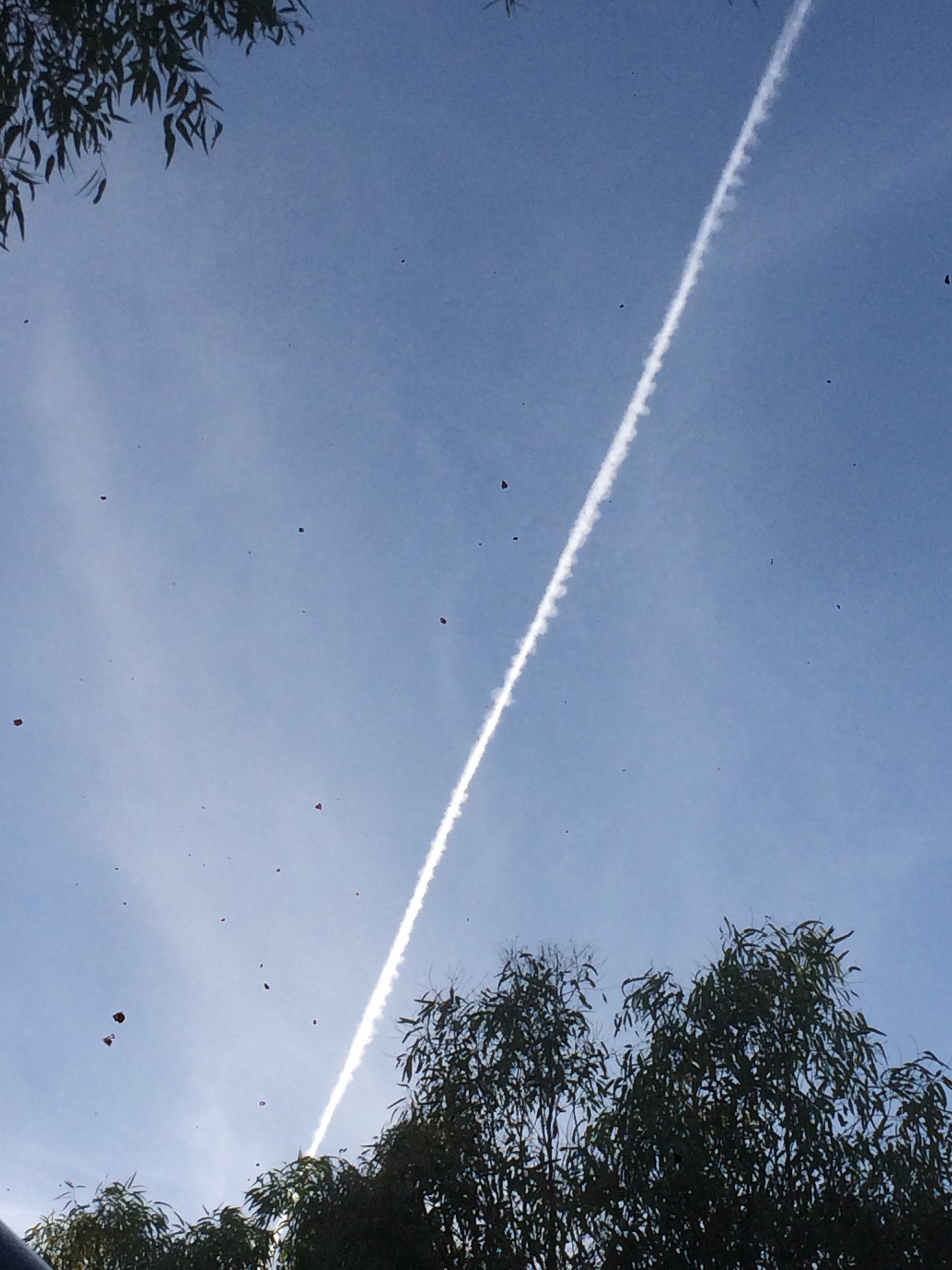 E526221B-C09C-4841-9B44-850FC391269F.jpeg