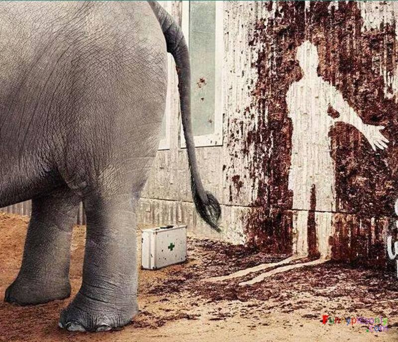 Elefantenshit.jpg