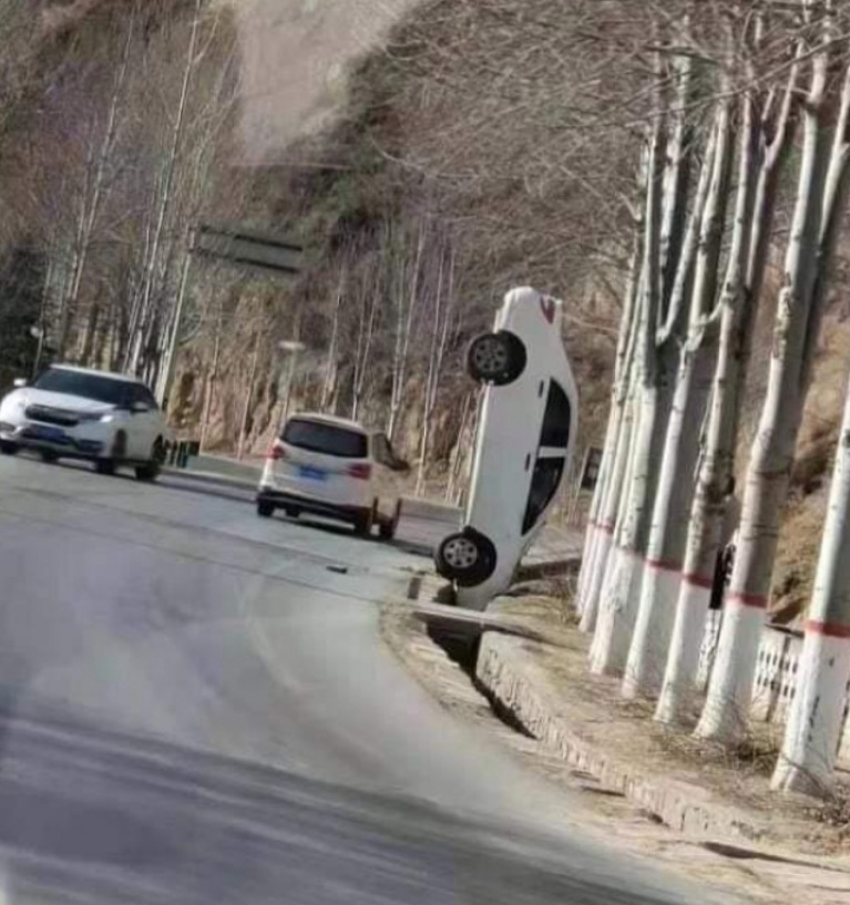 falschparker.jpg