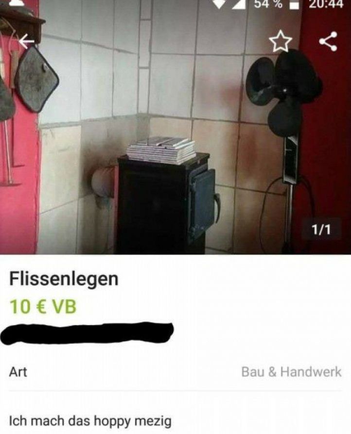 fliesster.jpg