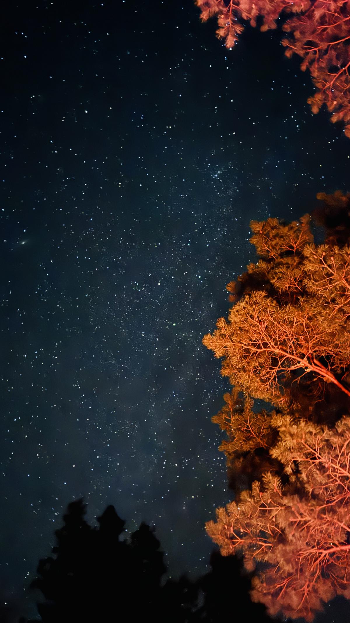 Foto 21.12.25, 21 04 44.JPG