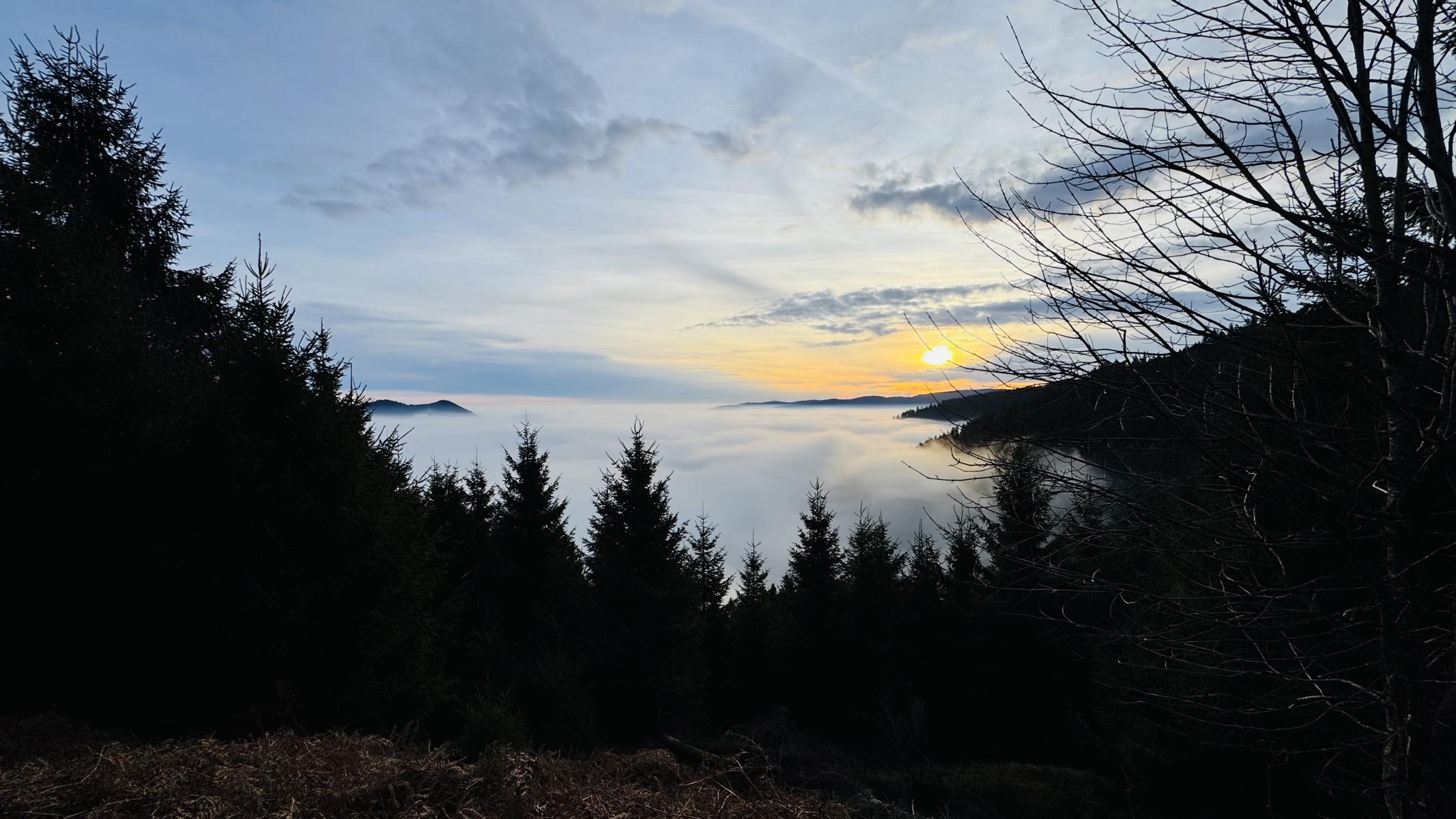 Foto 22.12.25, 08 55 46.JPG