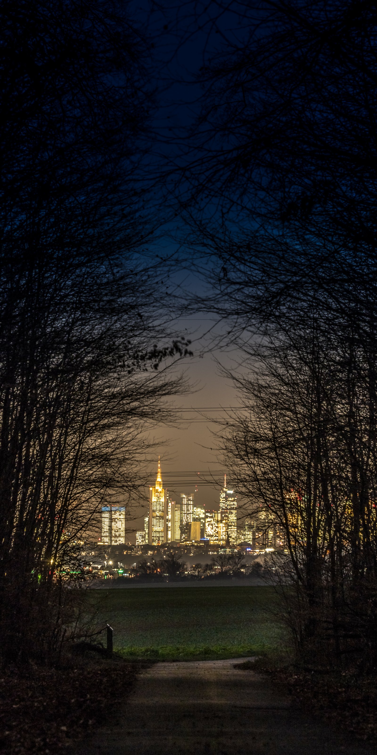 Frankfurt Skyline LGv30 Hintergrund-060.jpg