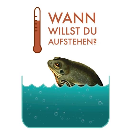 frosch-im-heissen-wasser-buttons-gross.jpg