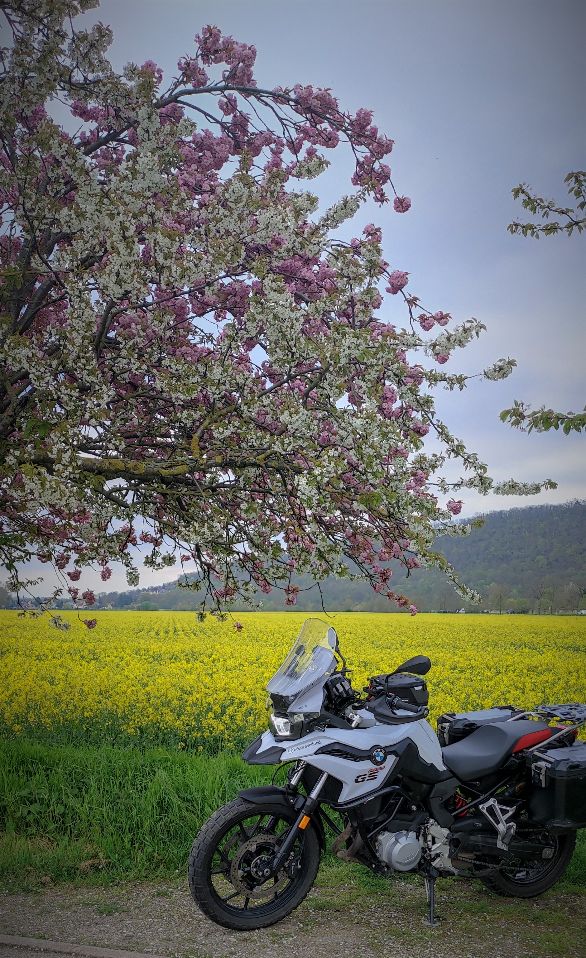 Frühling.jpg