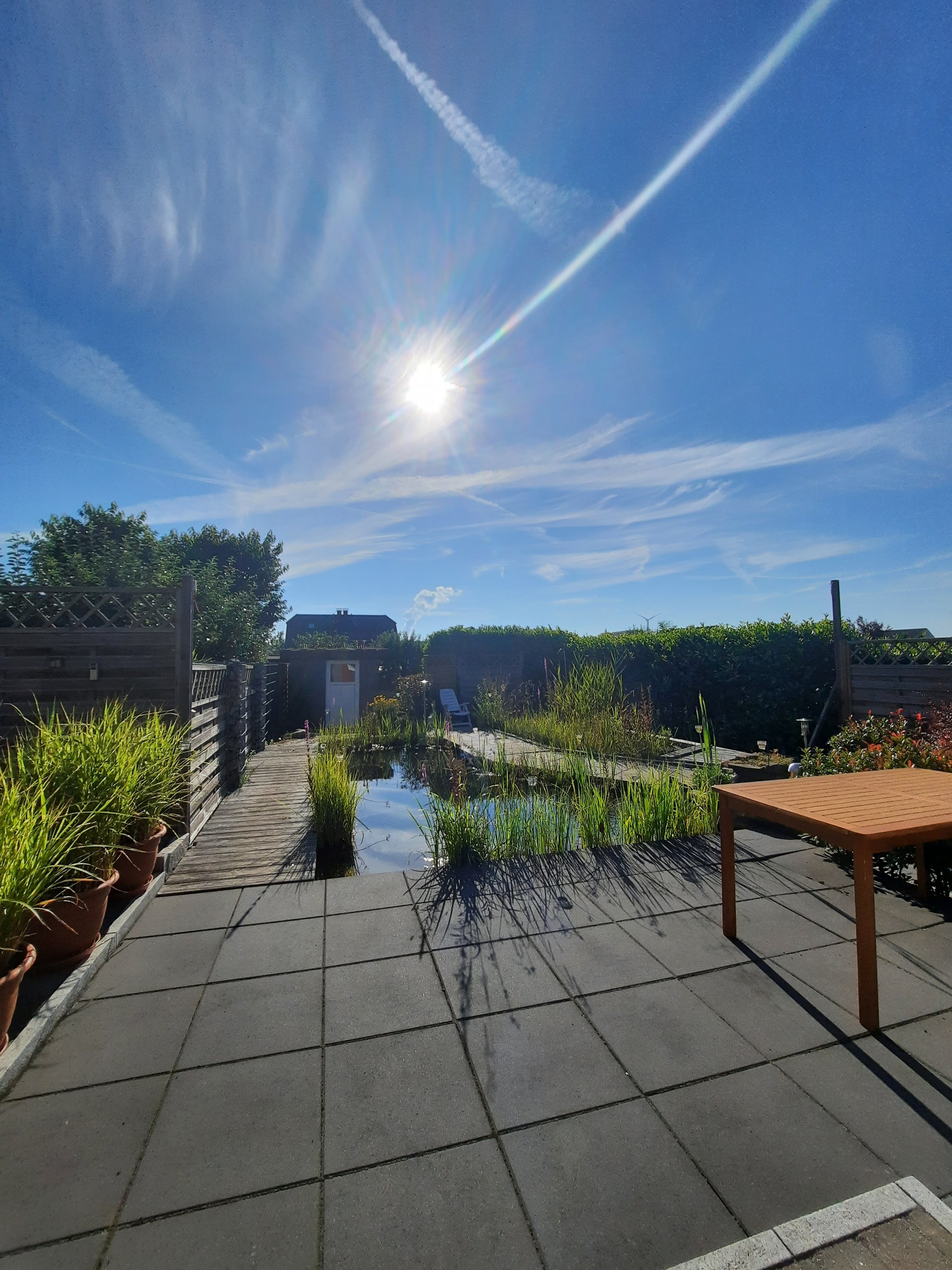 garten.jpg