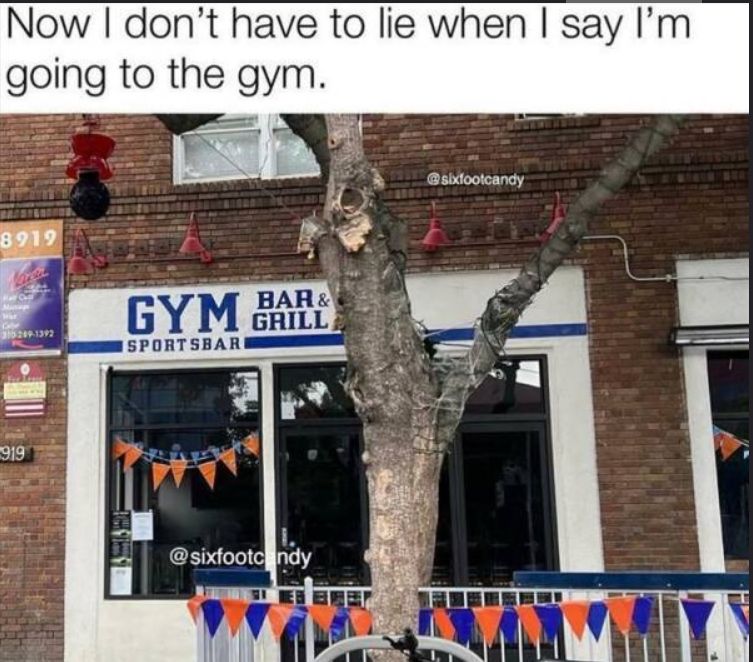 gims.jpg