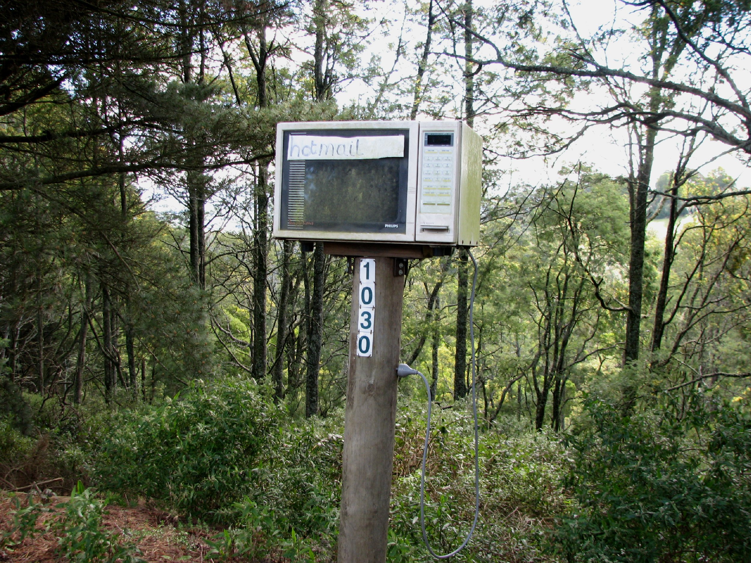 gippy30.JPG