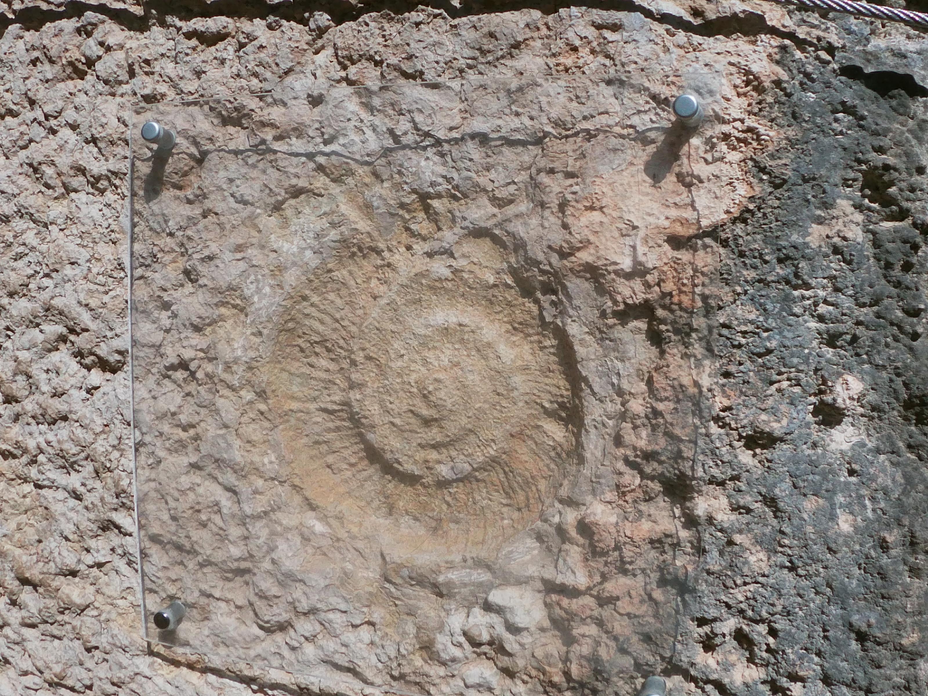 GOPR0303.jpg